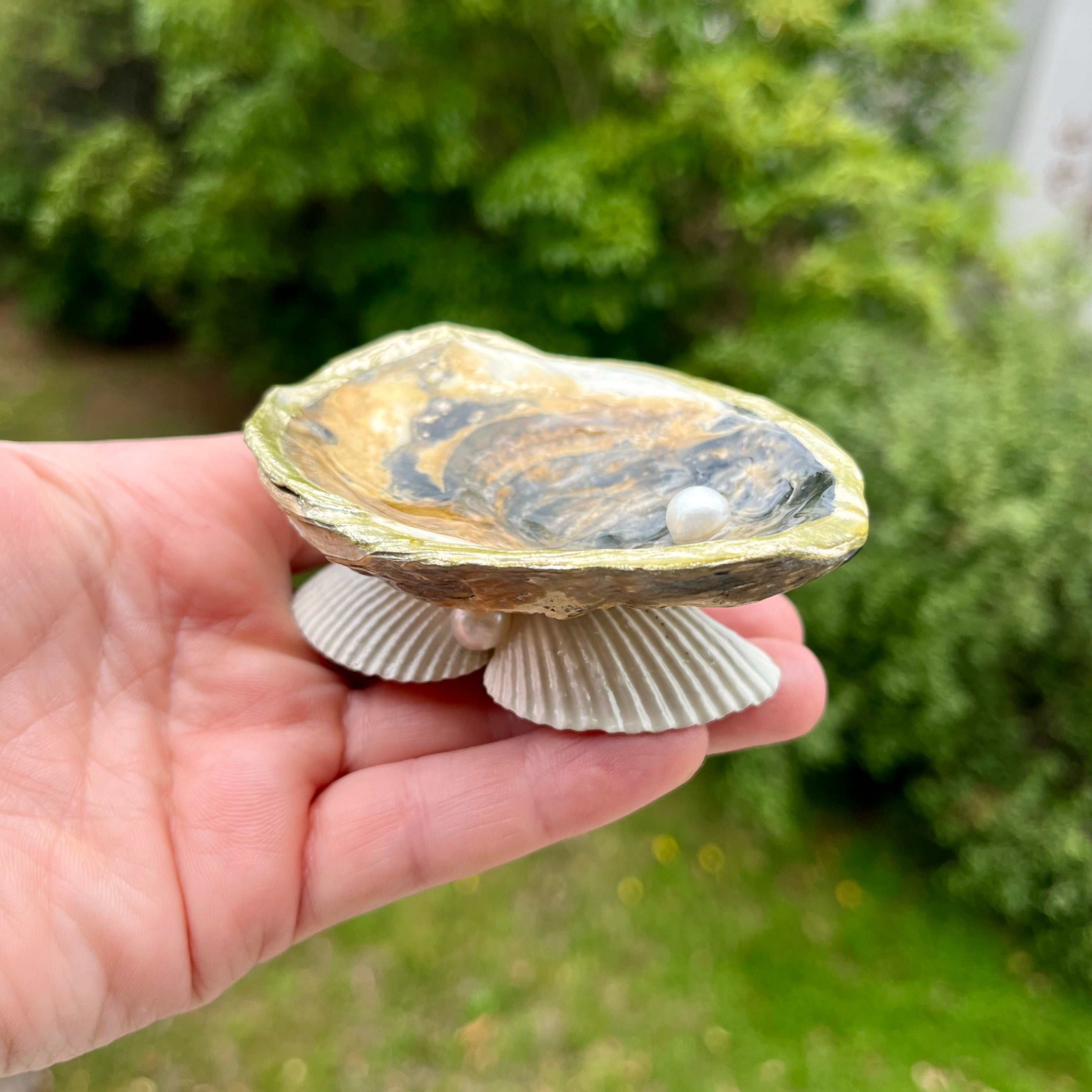 Earthy Shell Trinket Tray with Pearls