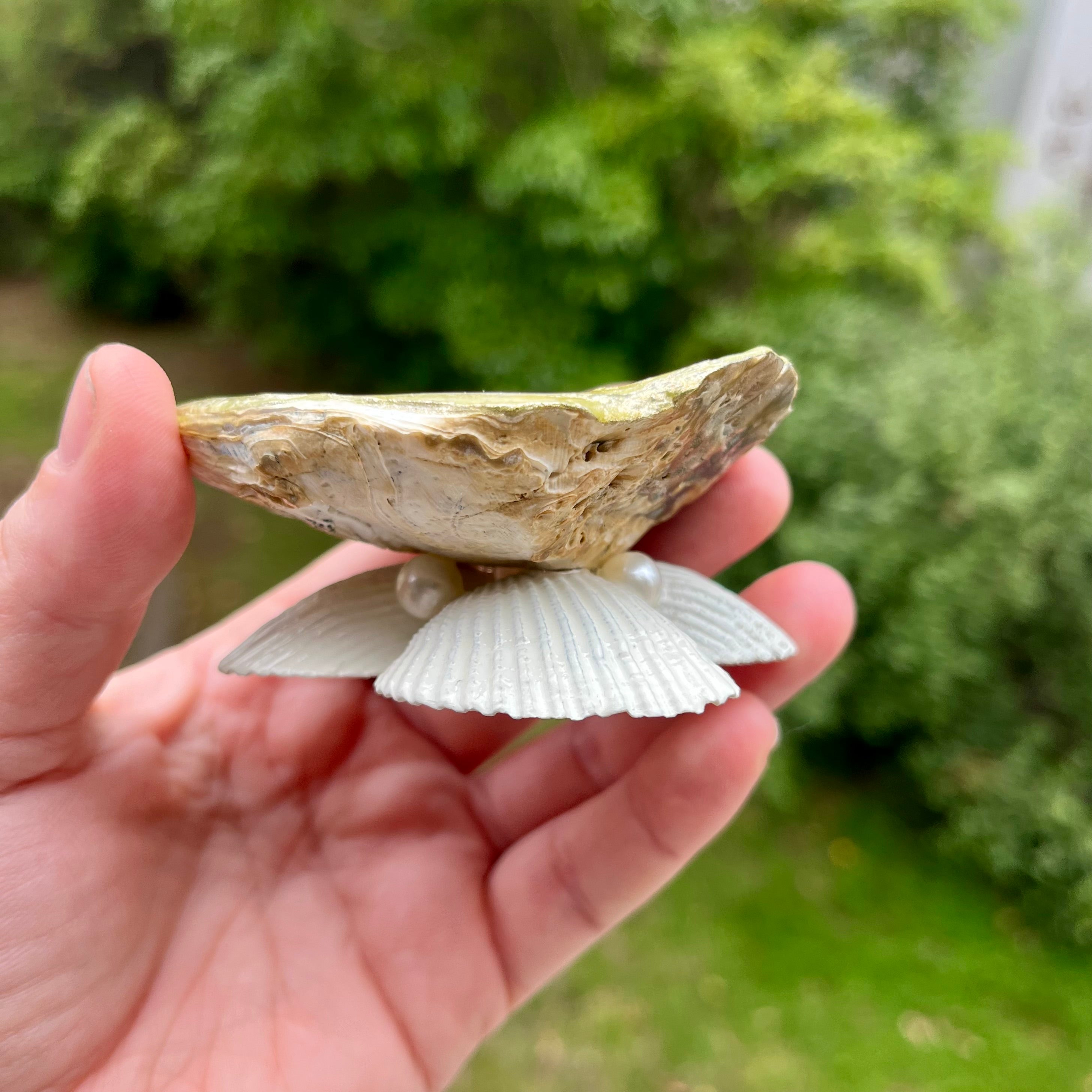 Earthy Shell Trinket Tray with Pearls