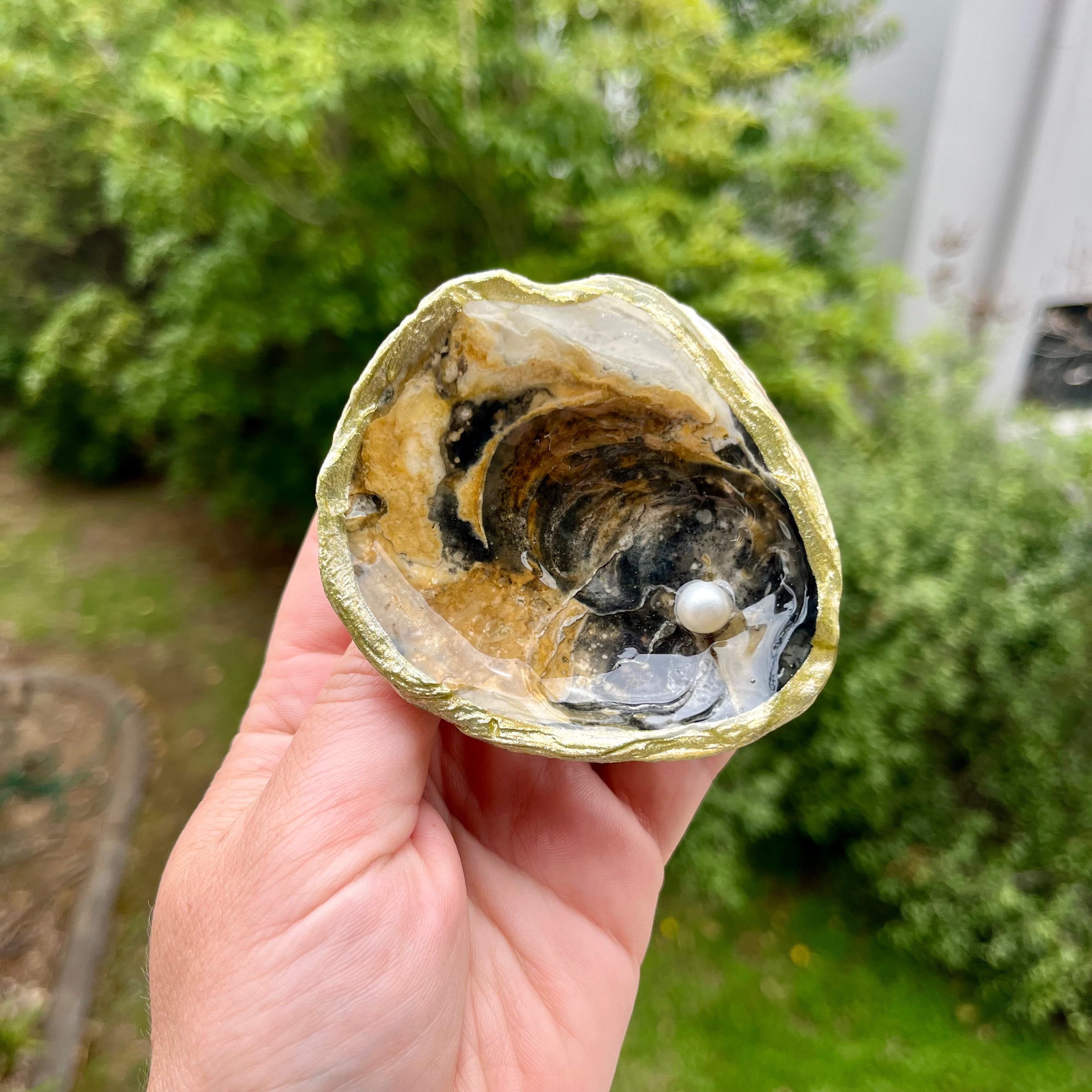Earthy Shell Trinket Tray with Pearls