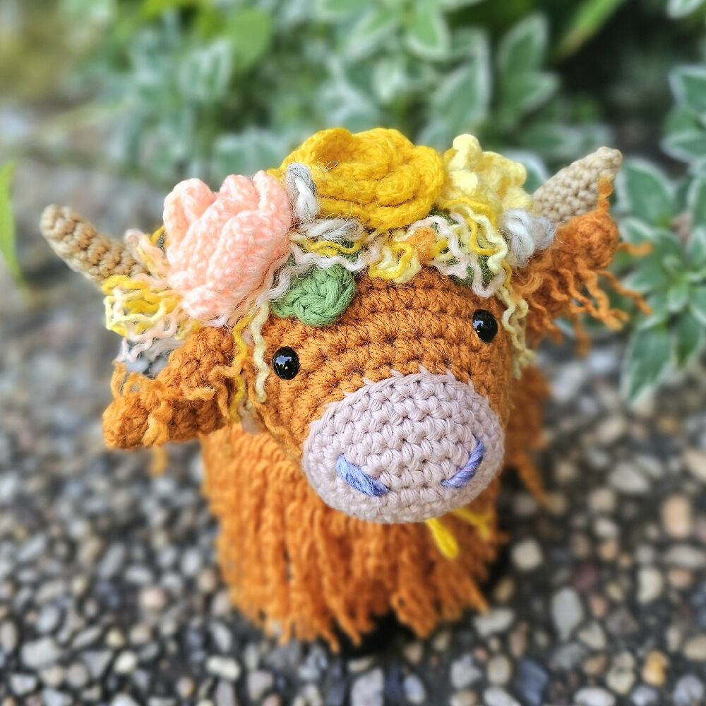 Highland Cow3
