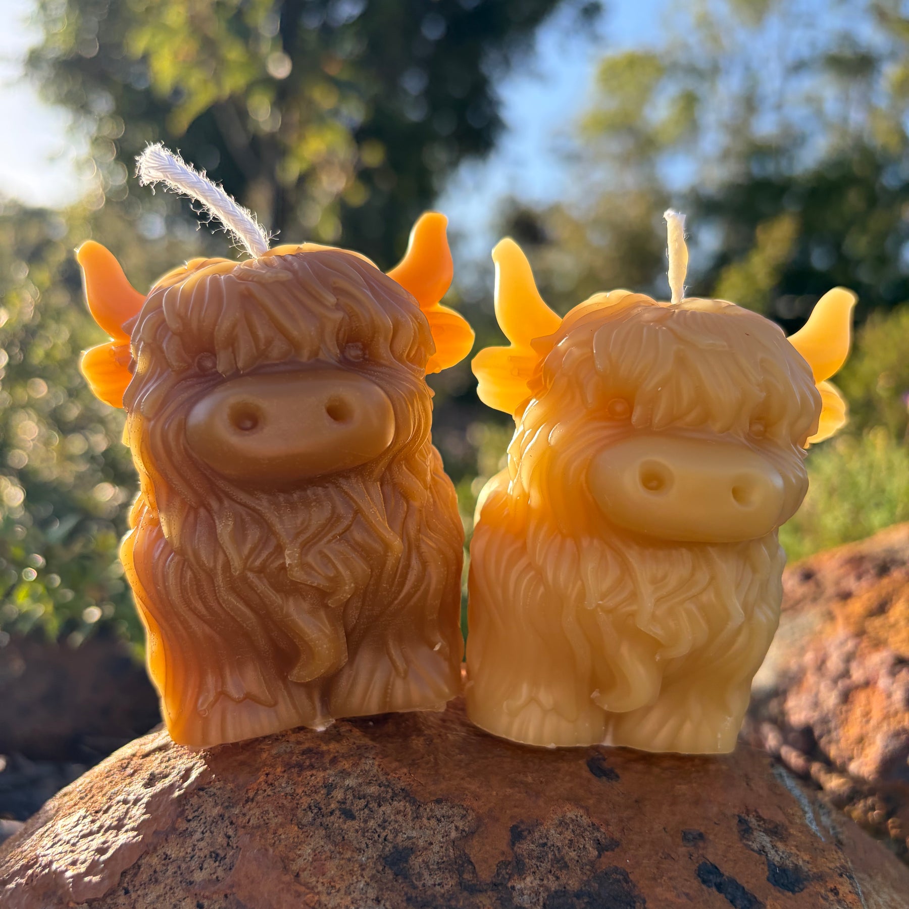 Honey Highland Beeswax Candle