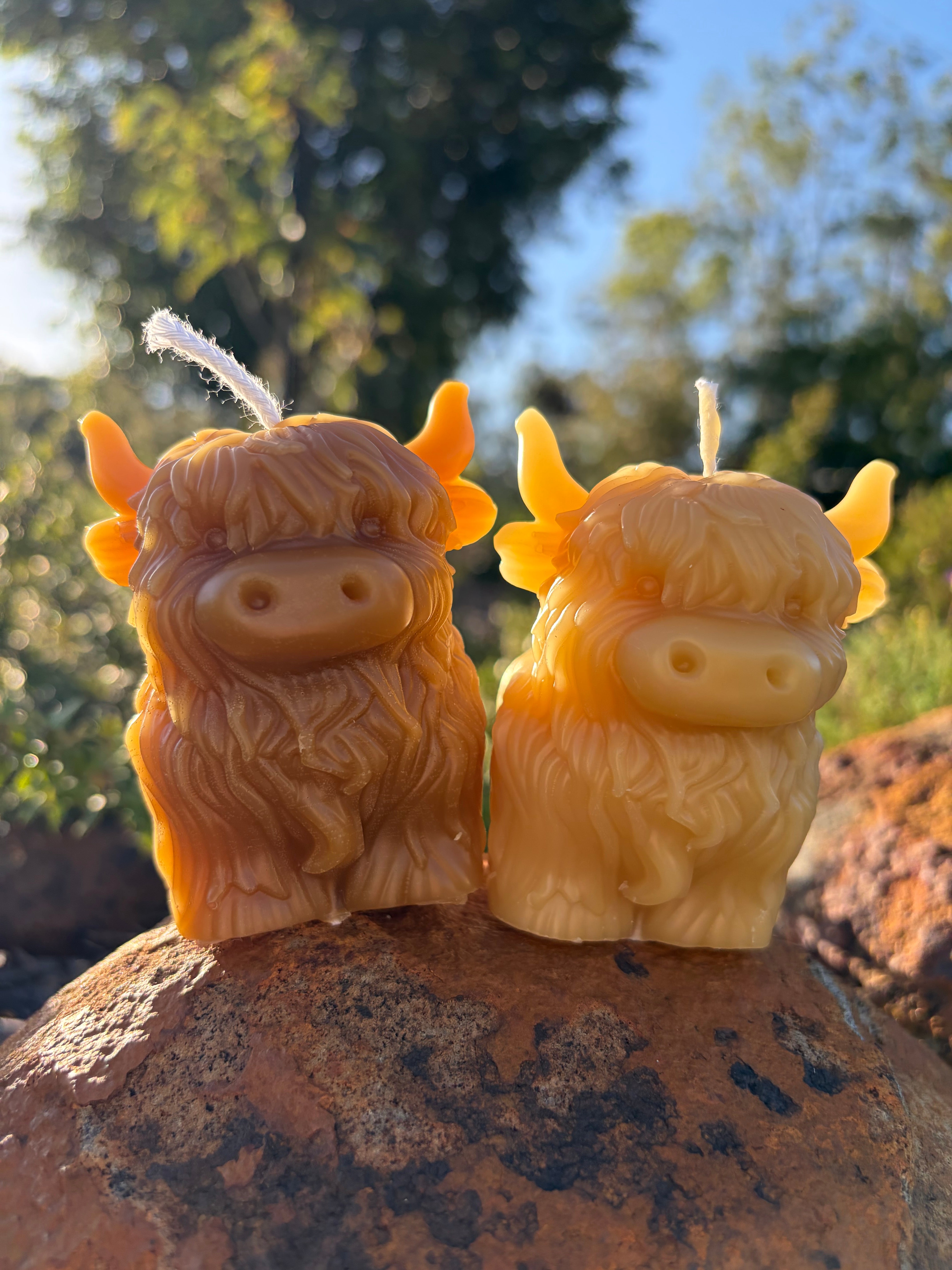 Honey Highland Beeswax Candle