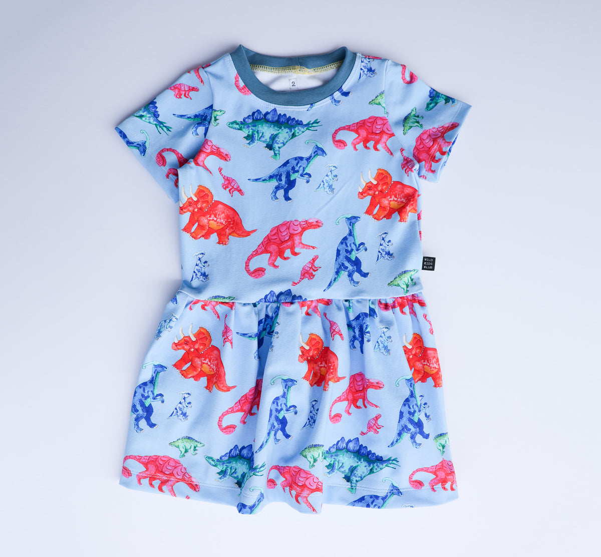 Rainbow dinosaur organic cotton dress 2026-27