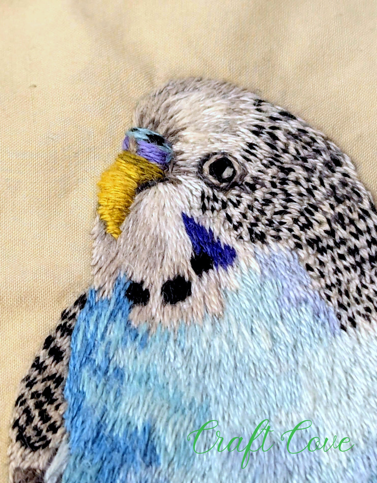 Thread Painted Budgie Embroidery