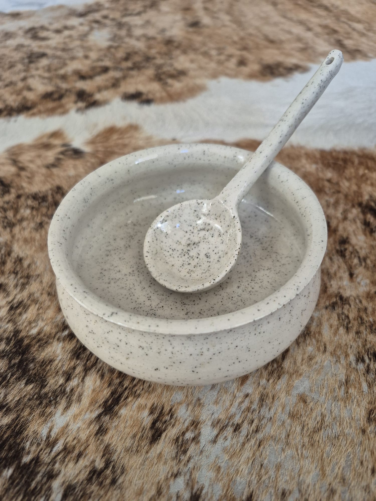 Ceramic Bowl and Spoon Set