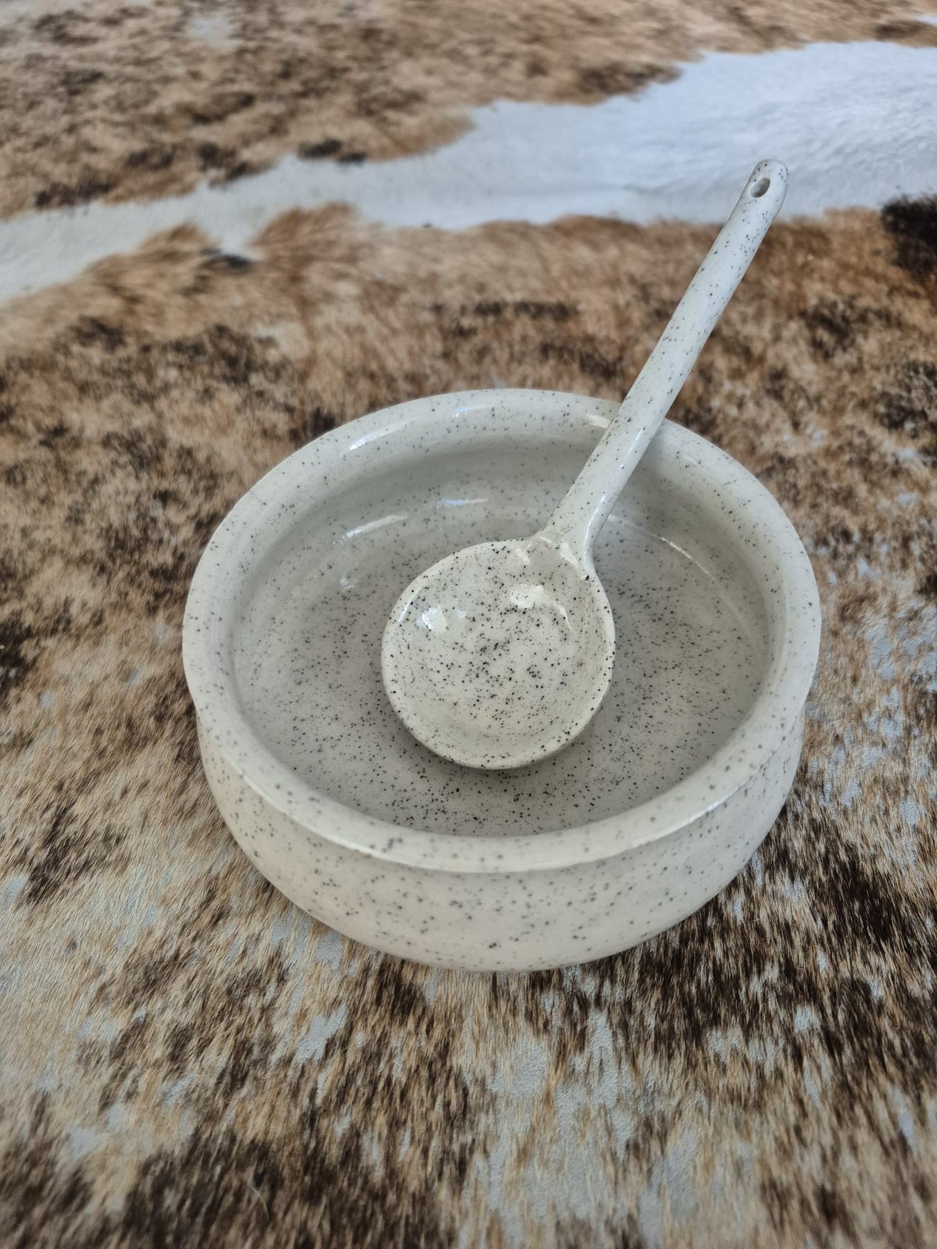 Ceramic Bowl and Spoon Set
