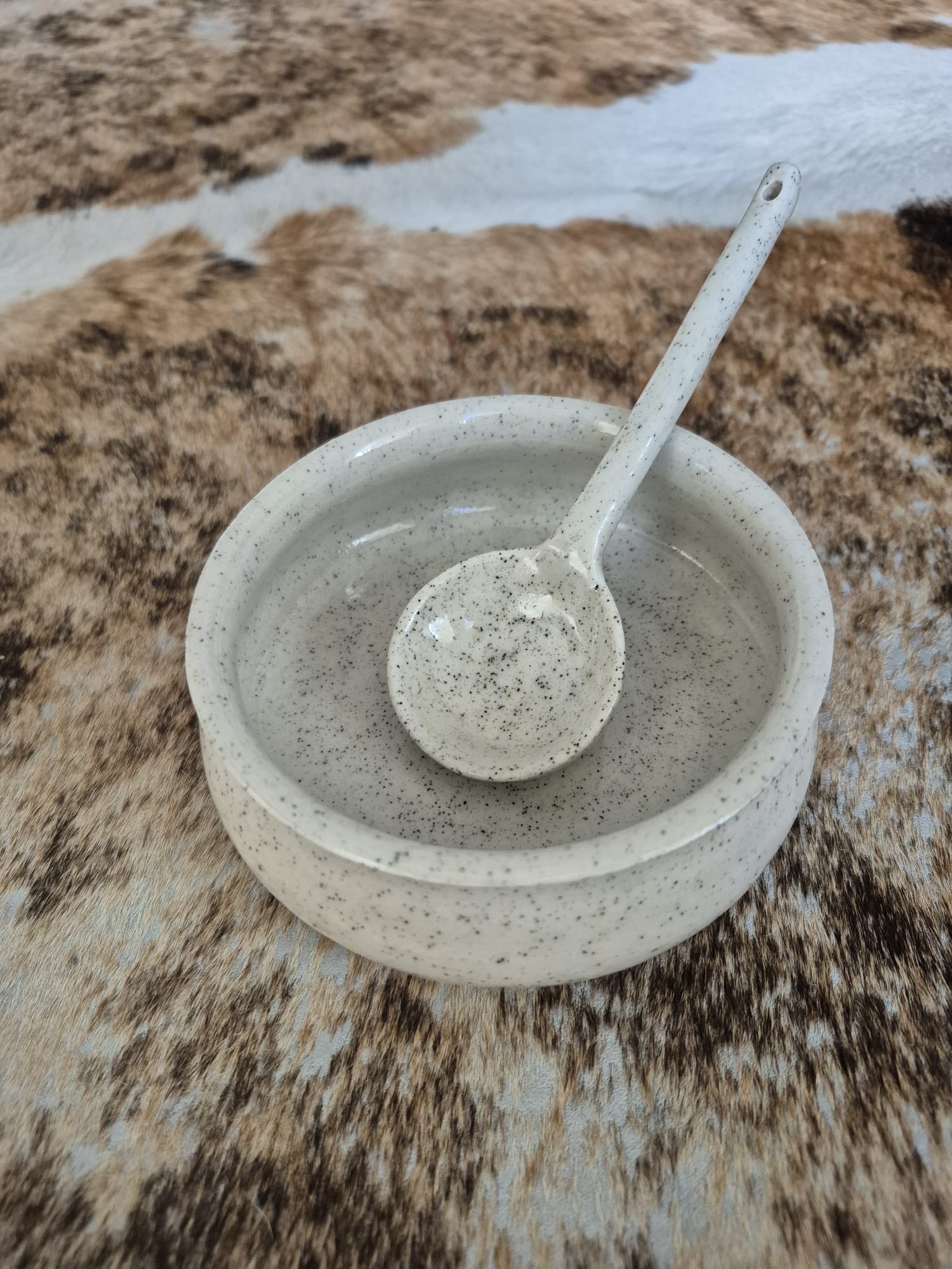Ceramic Bowl and Spoon Set