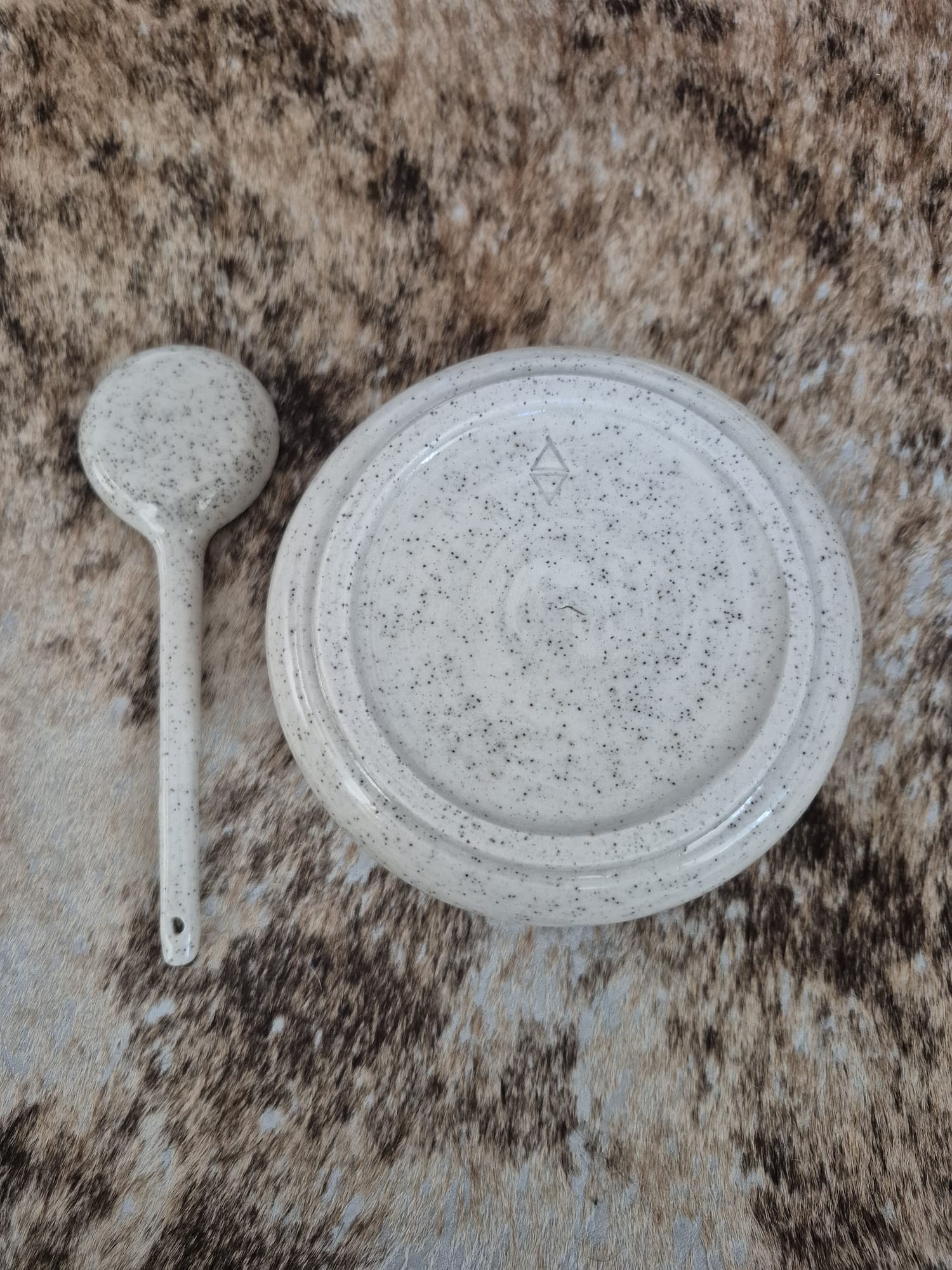 Ceramic Bowl and Spoon Set