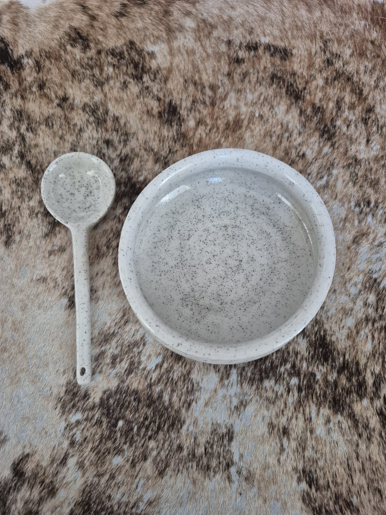 Ceramic Bowl and Spoon Set