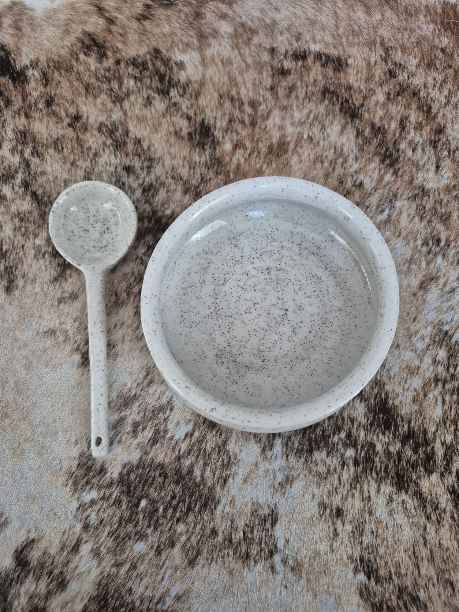 Ceramic Bowl and Spoon Set