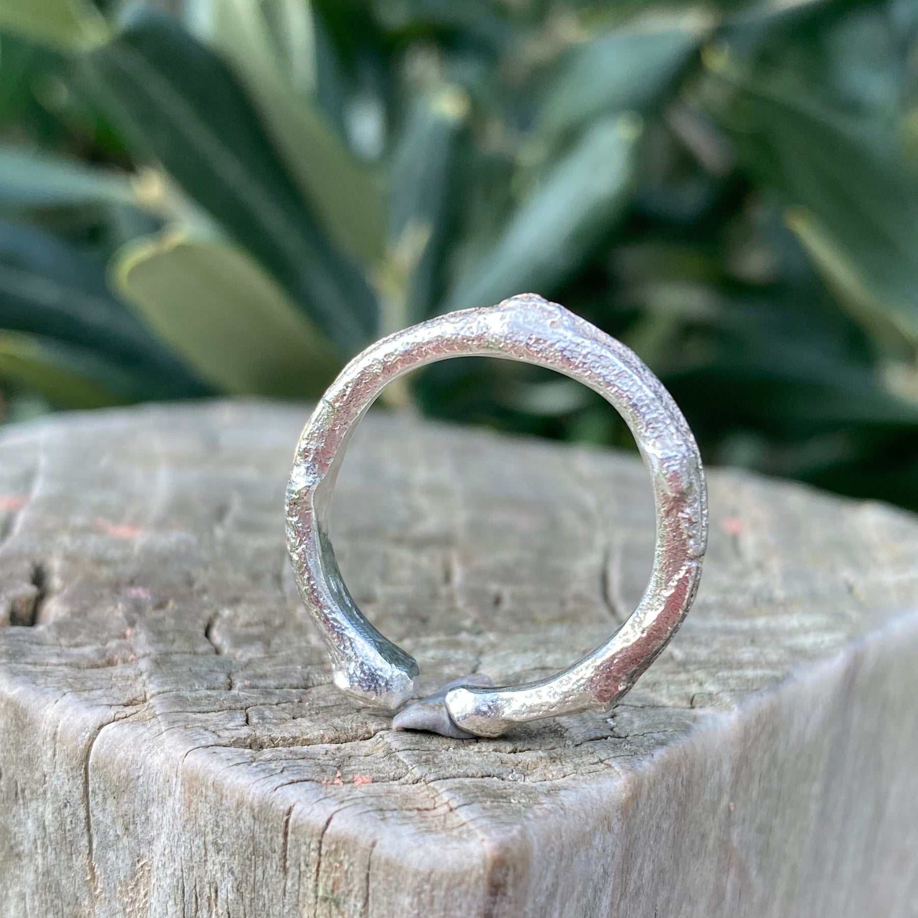 Sterling Silver Olive Branch Ring | Size O | Open Design