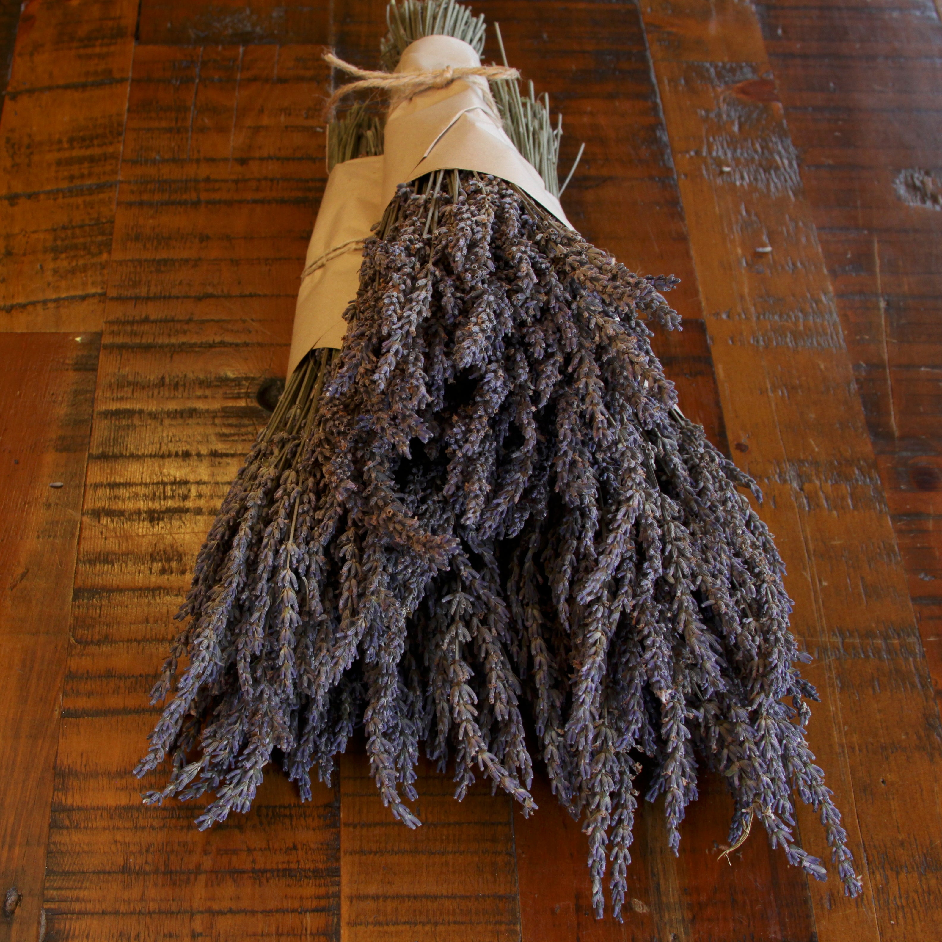 Lavender Bunch Dried