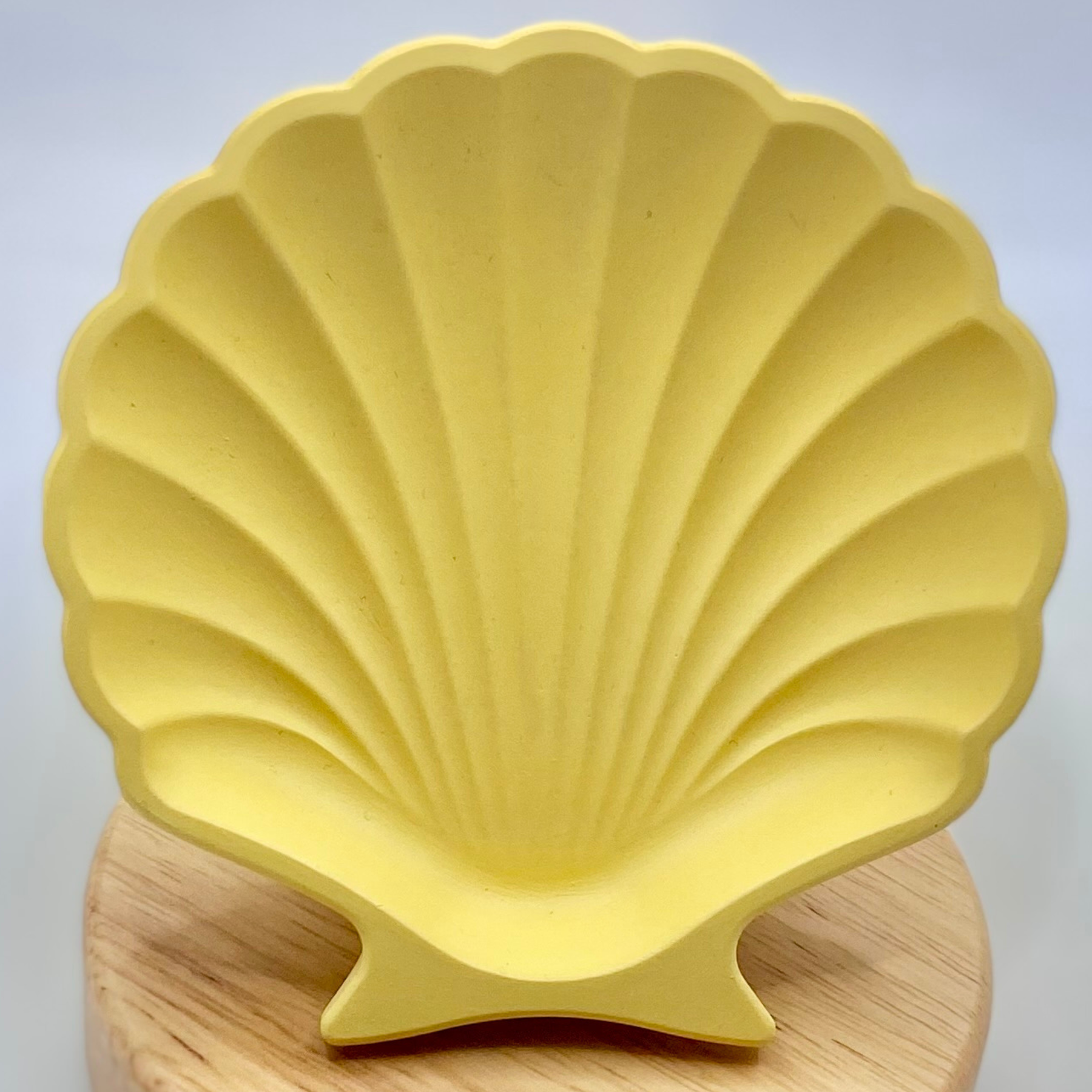 Shell dish | Colour decor collection