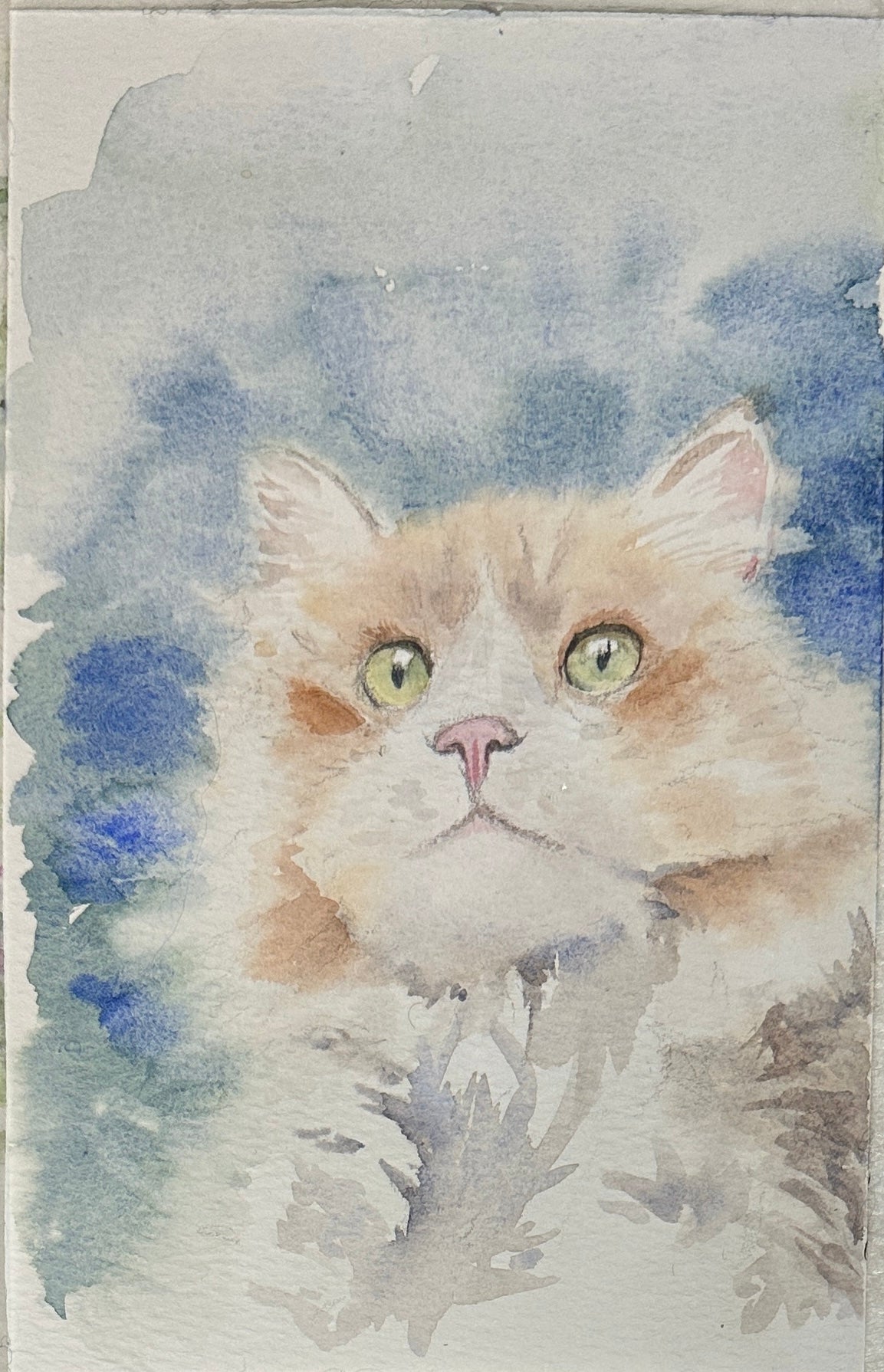 Your Pet Portrait with Personality🐾