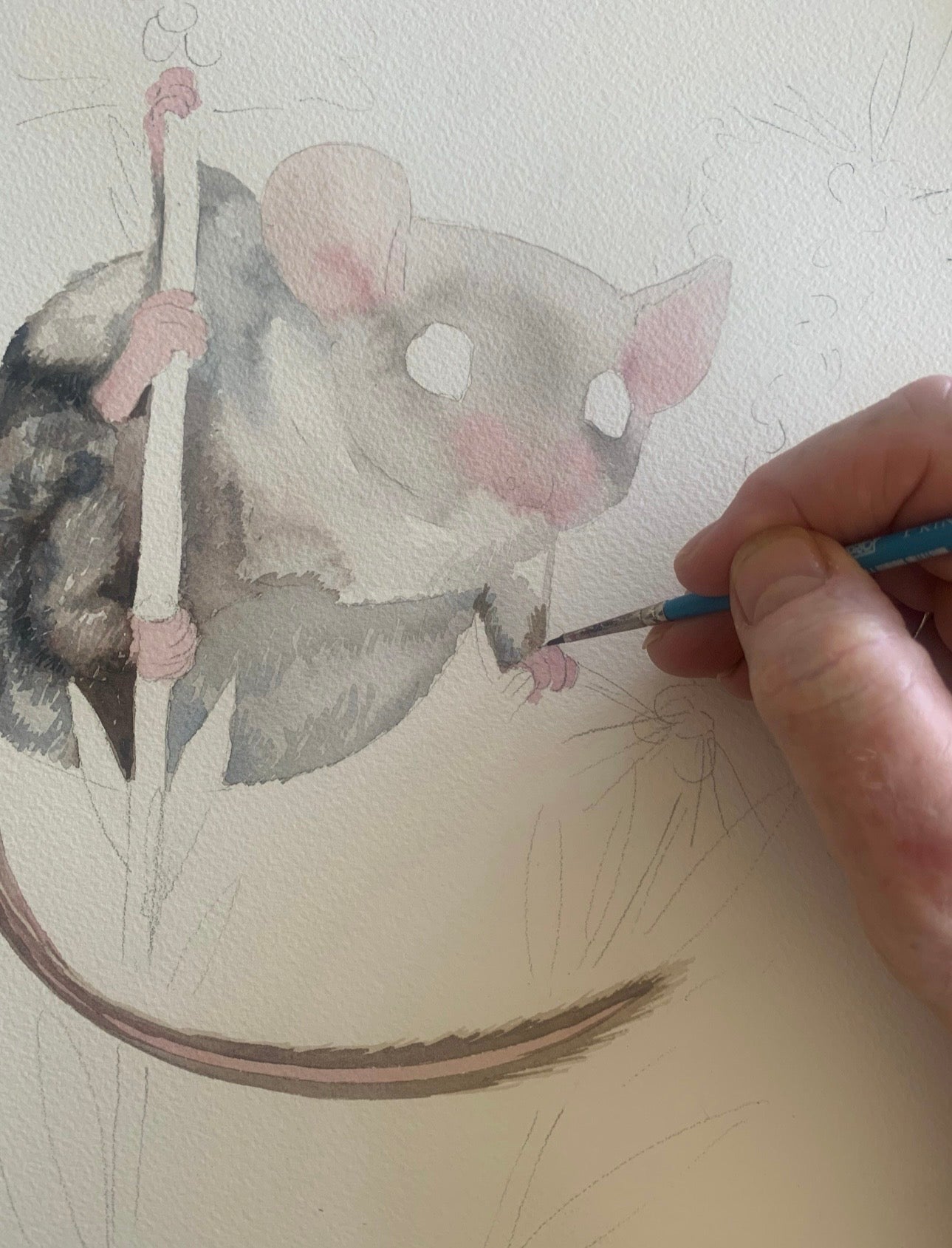 Feathertail Glider art print by Debra Meier