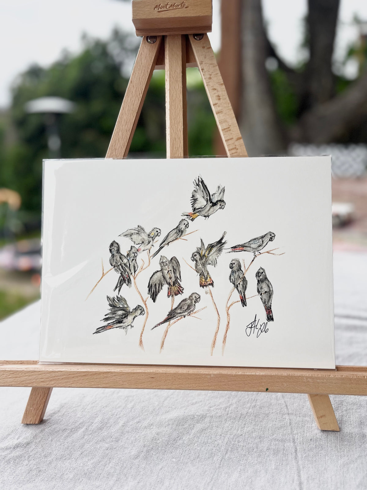 Red-tail Raucous | Australian Native Birds Illustration | A4 Print