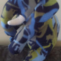 Eddie Elephant