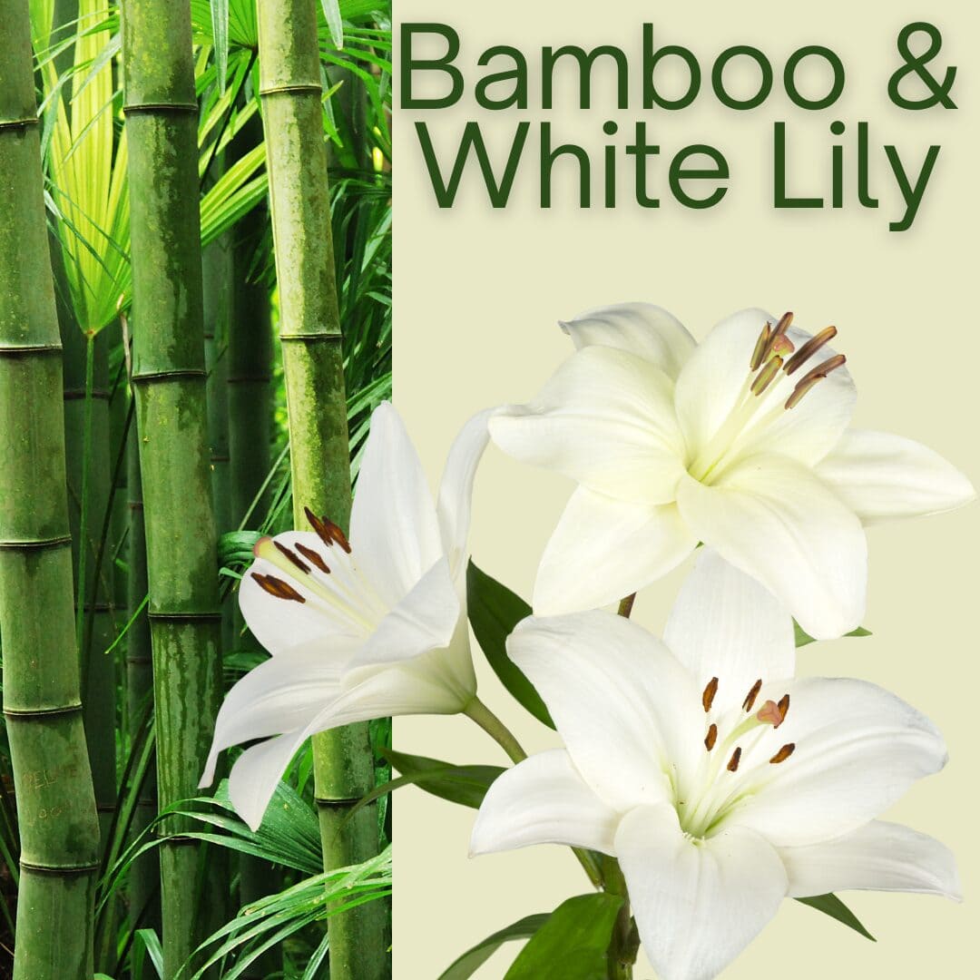 Bamboo & White Lily Rubywood Laundry Booster
