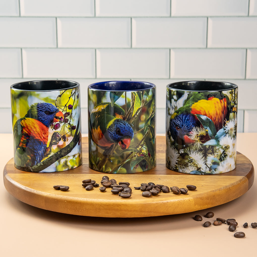 Rainbow Lorikeet Collection - Coffee Mugs