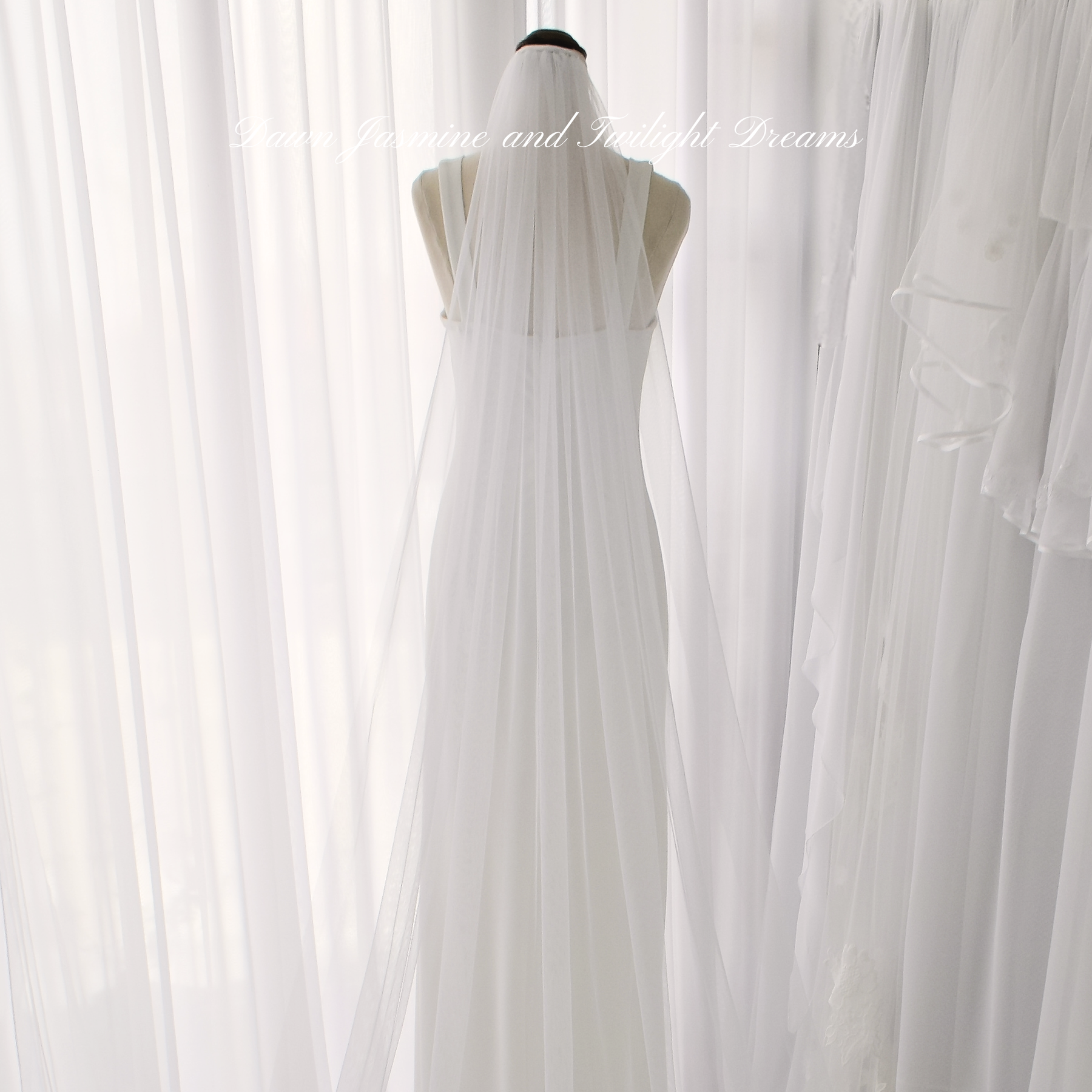 Minimalist Raw Edge Bridal Veil | The Audrey