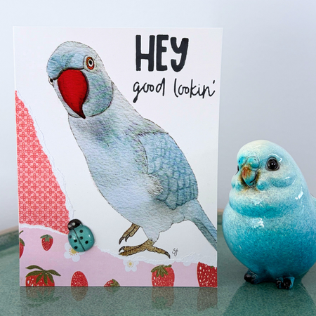 Ringneck parrot 