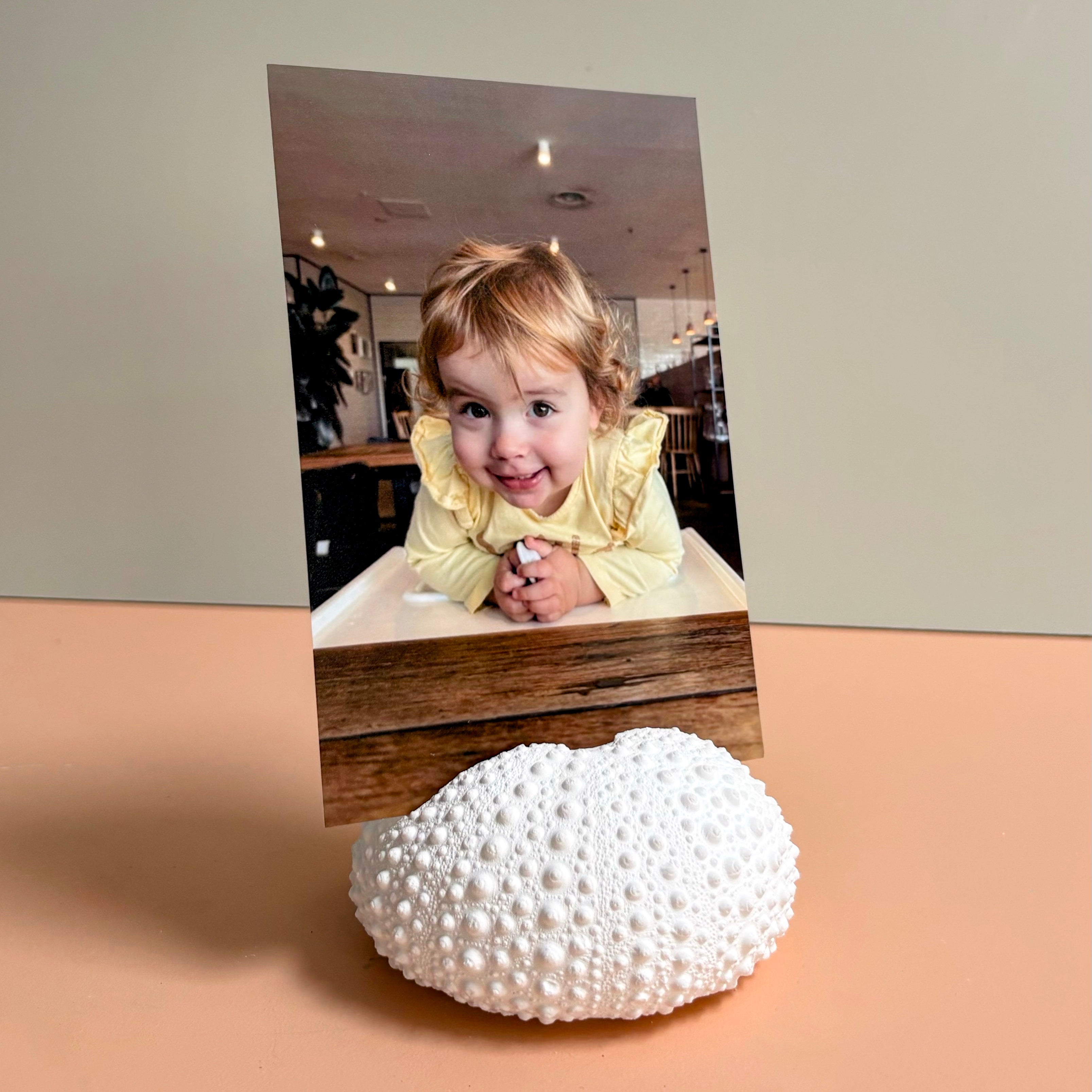Sea Urchin Card & Photo Holder — Eco Resin
