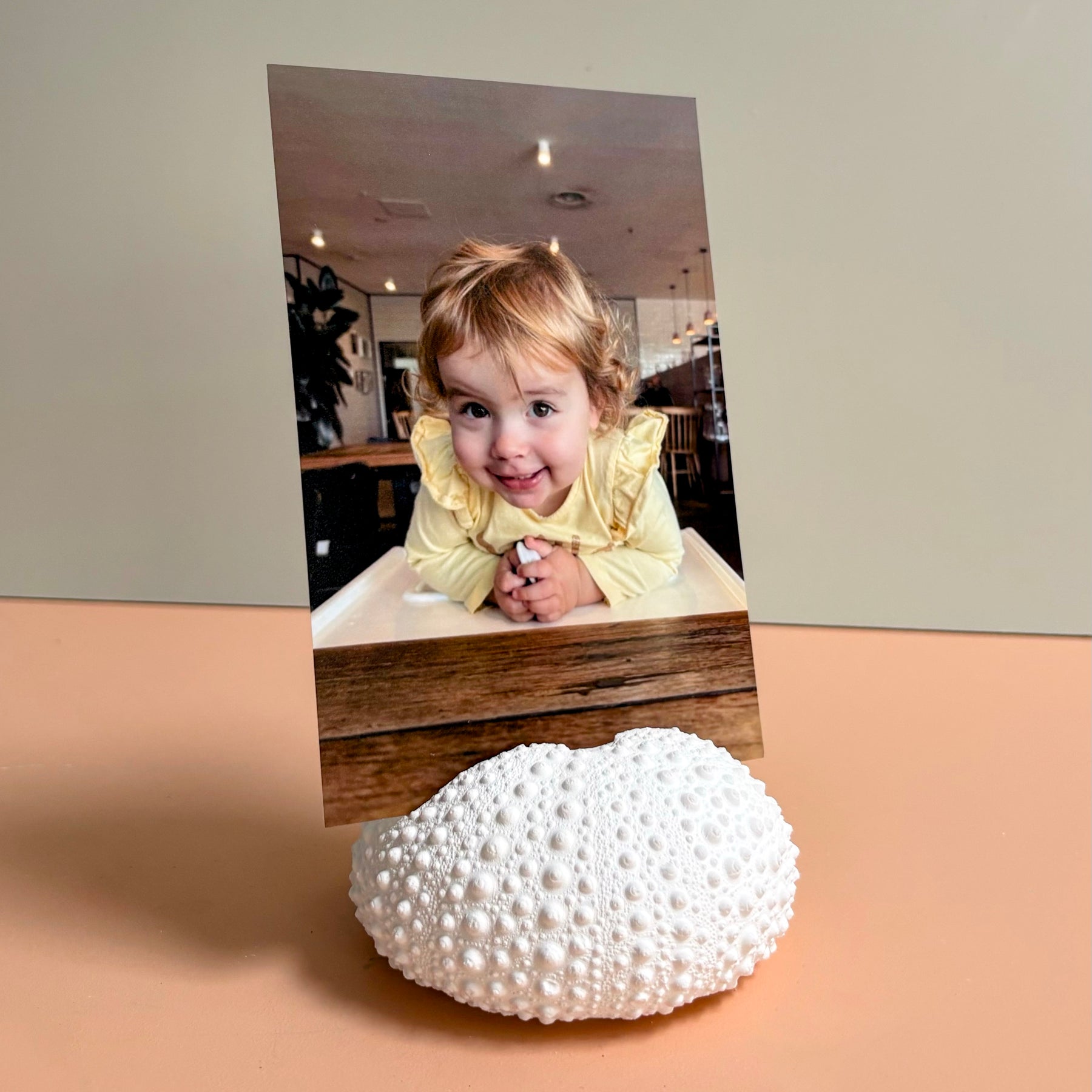 Sea Urchin Card & Photo Holder — Eco Resin