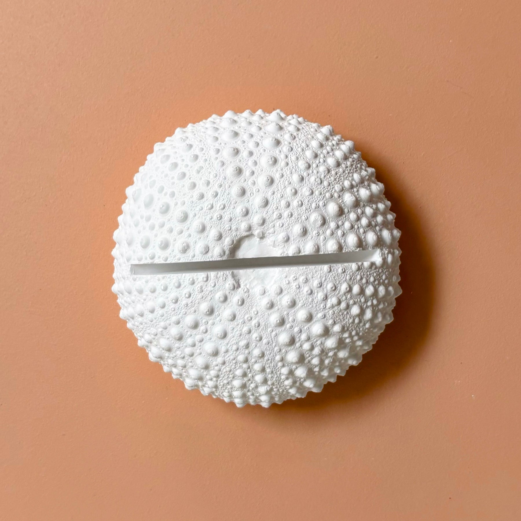 Sea Urchin Card & Photo Holder — Eco Resin