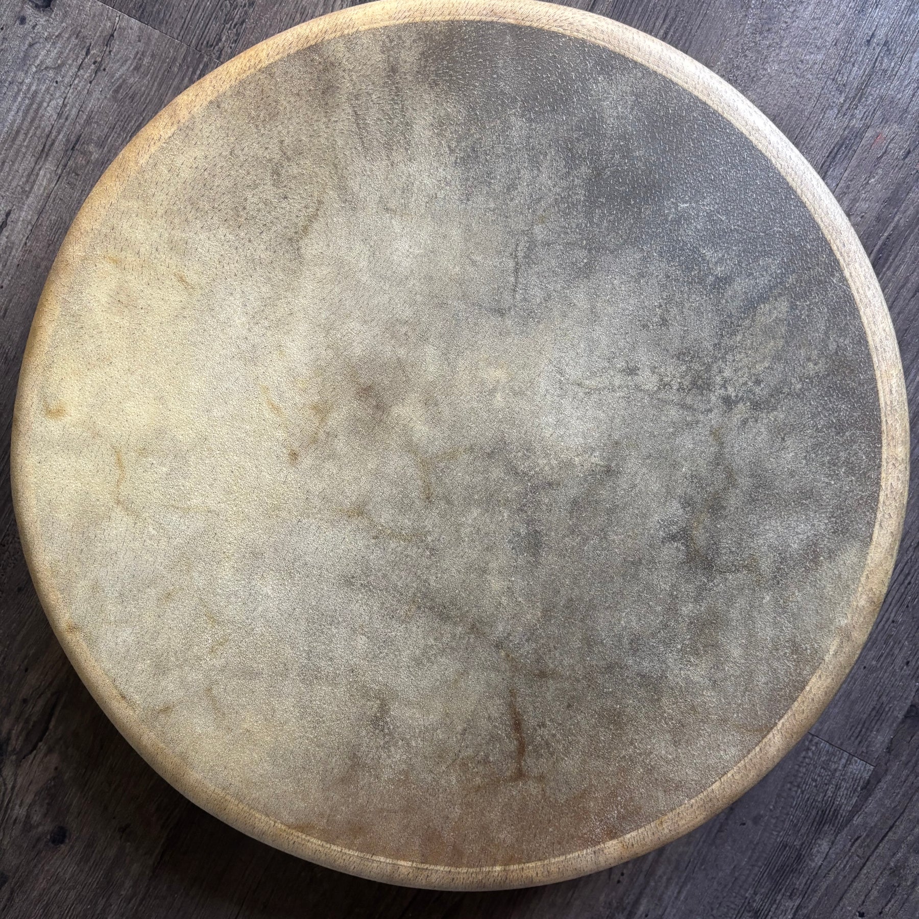 Spirit In her Hide - Medicine Drum 16”