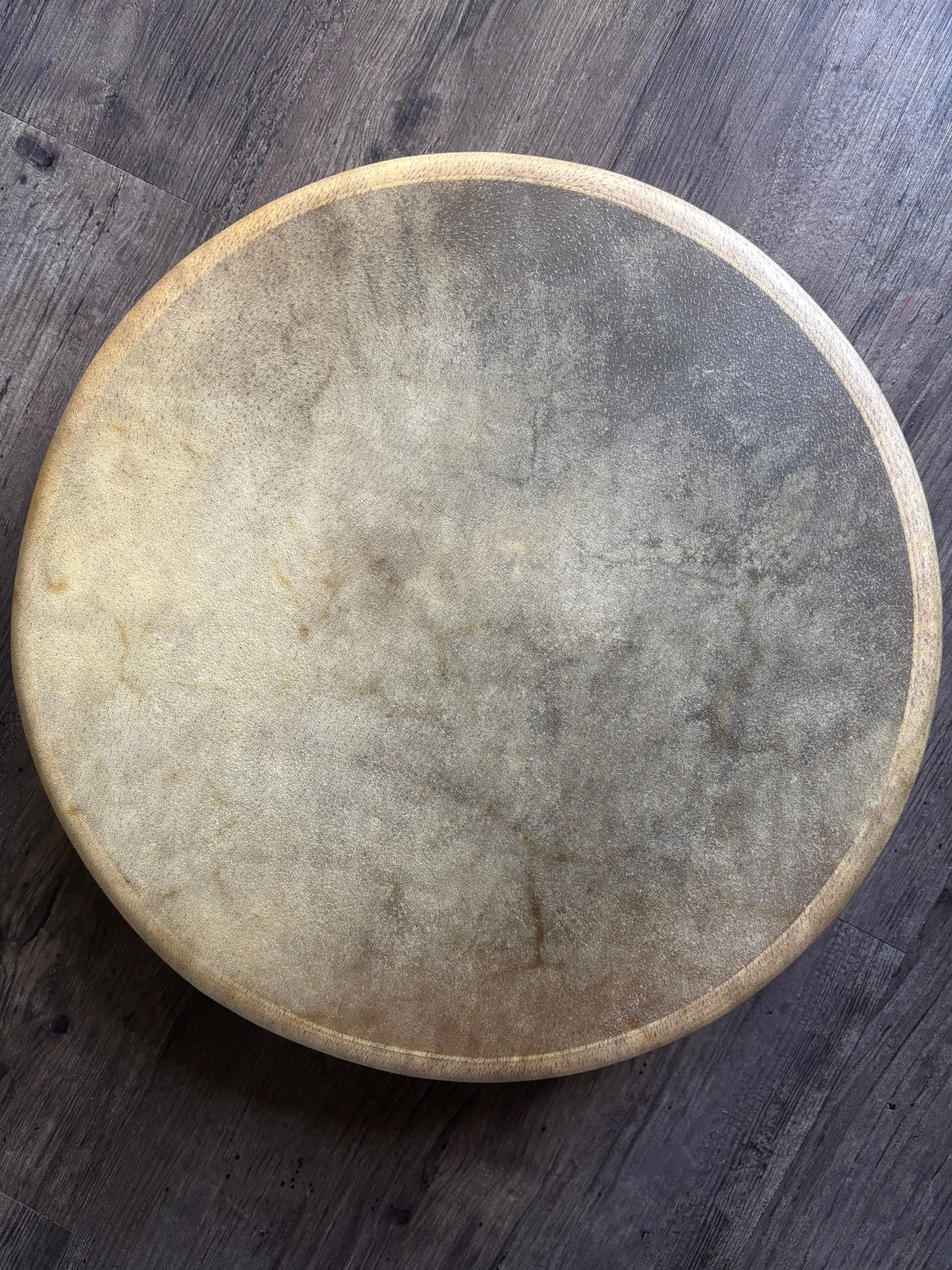 Spirit In her Hide - Medicine Drum 16”