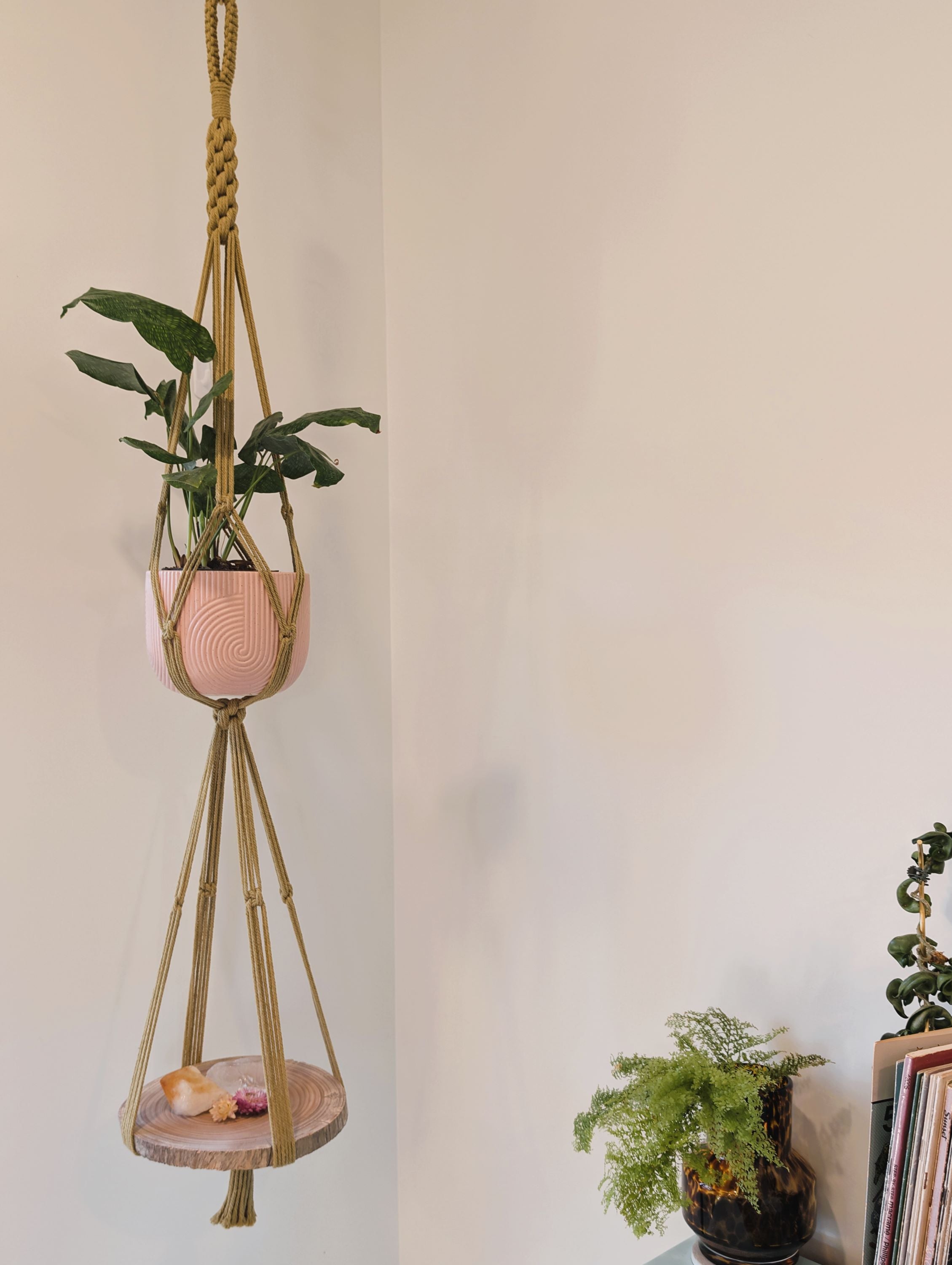 Macrame Plant Hanger - KIRALYNO with Sugargum Décor Shelf