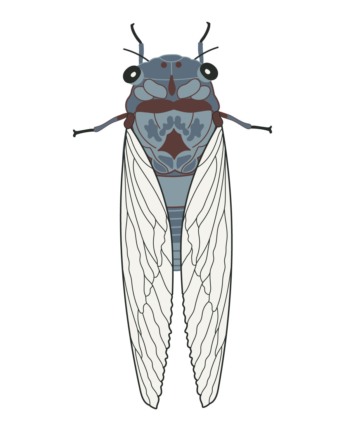 4 Different Cicada Bug Insect Stickers