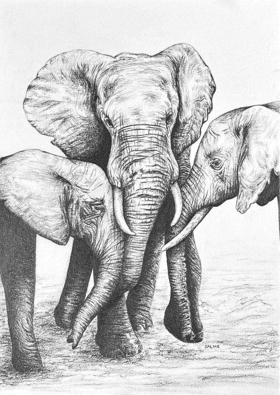 A Mother's Love | Elephant | Hand Drawn Original Artwork