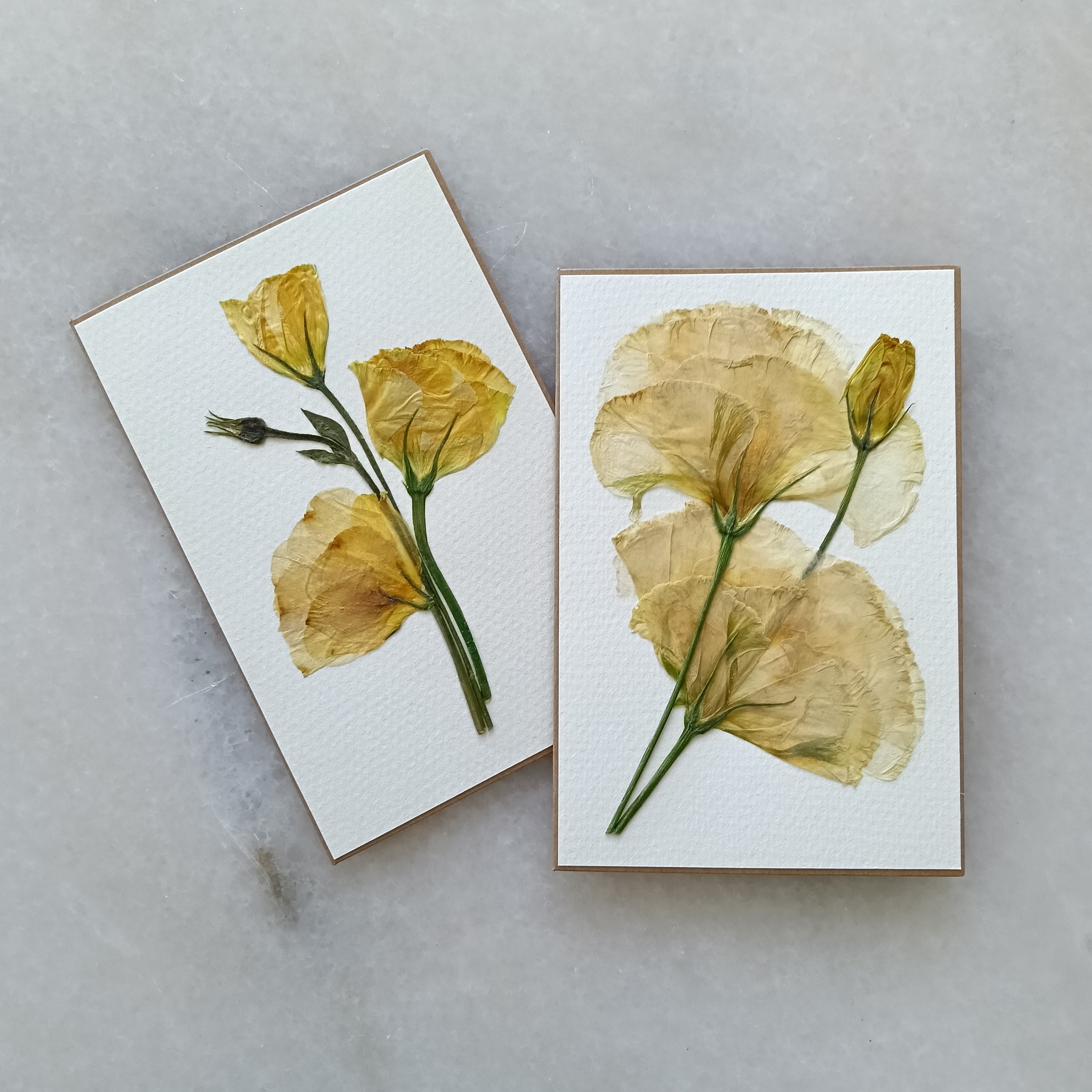 Simply Lissy | Pressed Flower Handmade Card