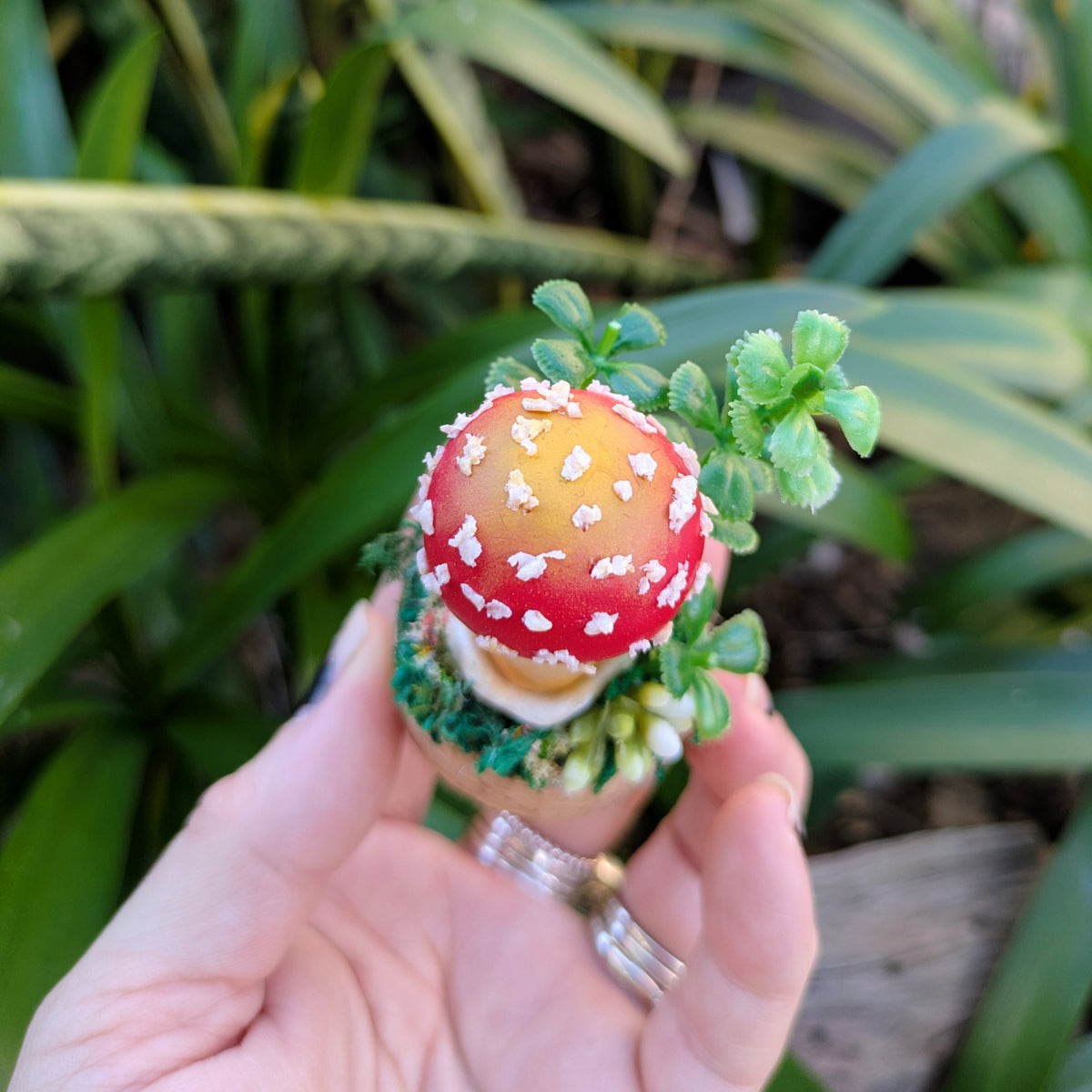 Mini Enchanted Amanita Mushroom Dome