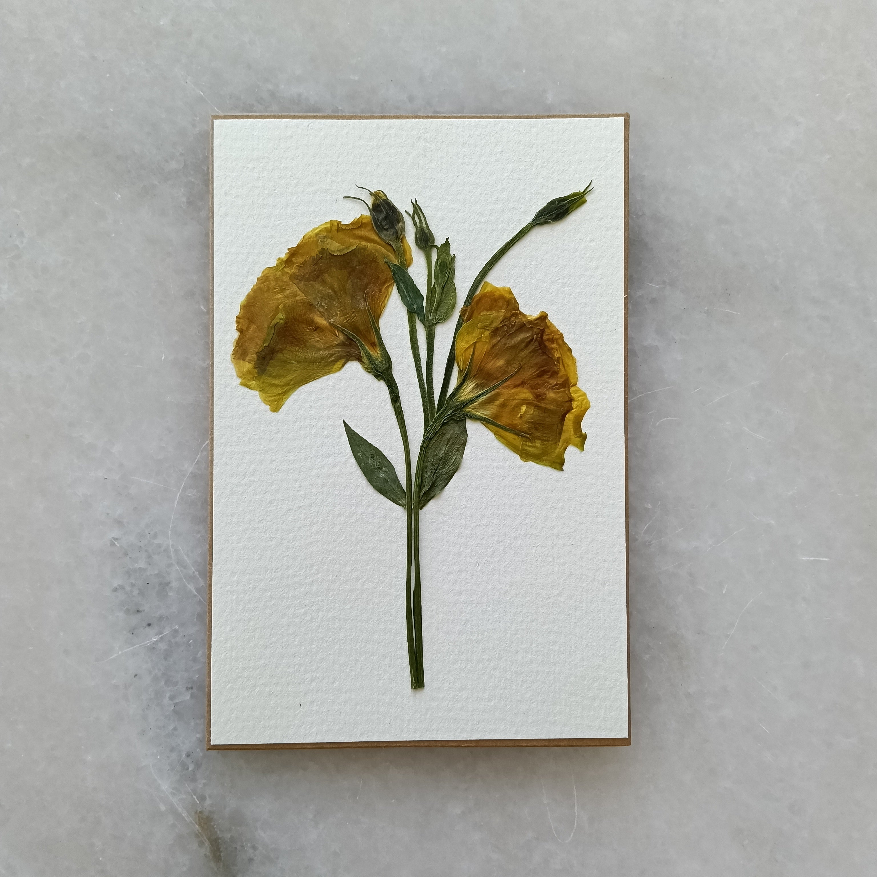Simply Lissy | Pressed Flower Handmade Card
