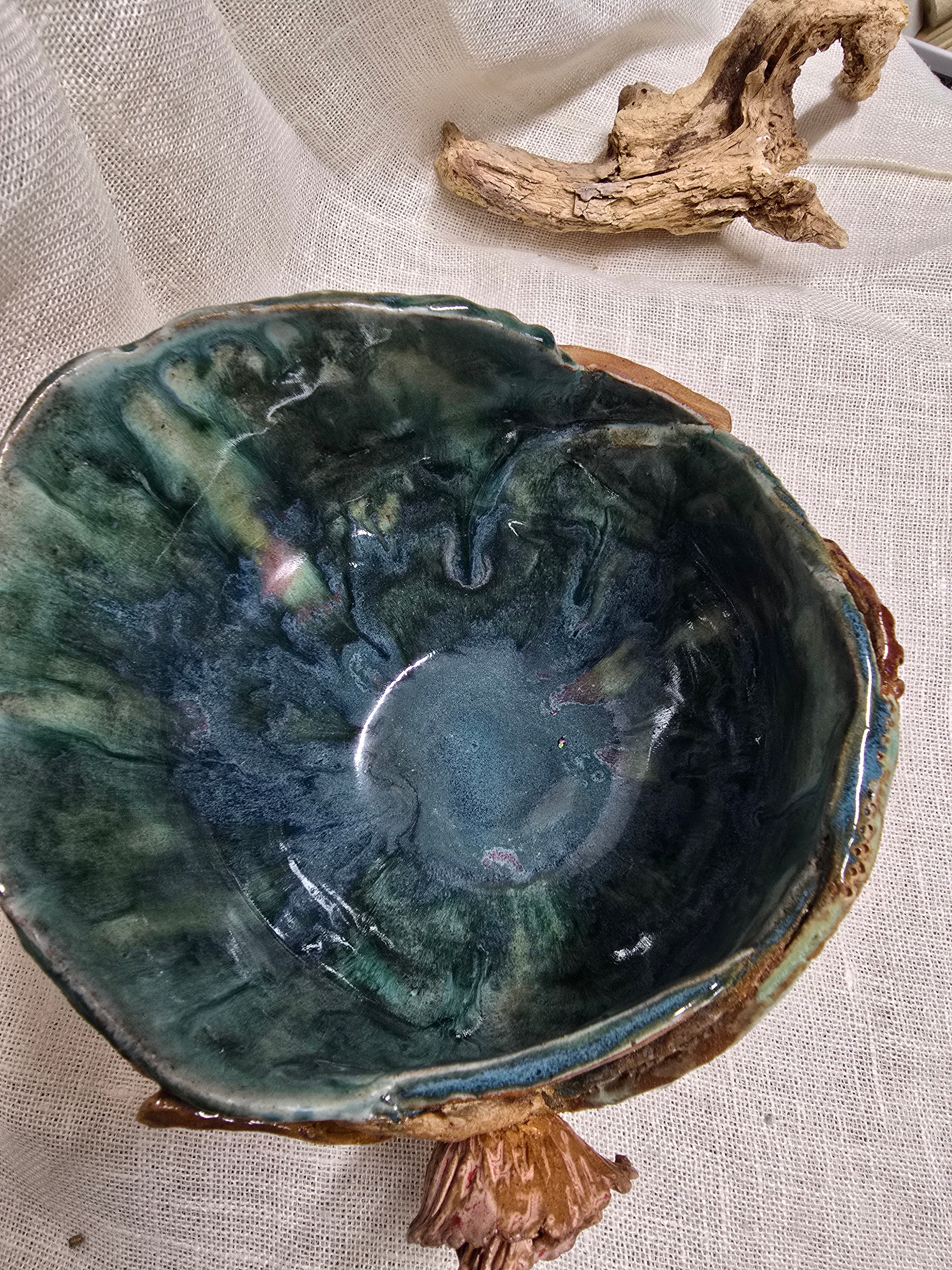 Rainforest pool bowl