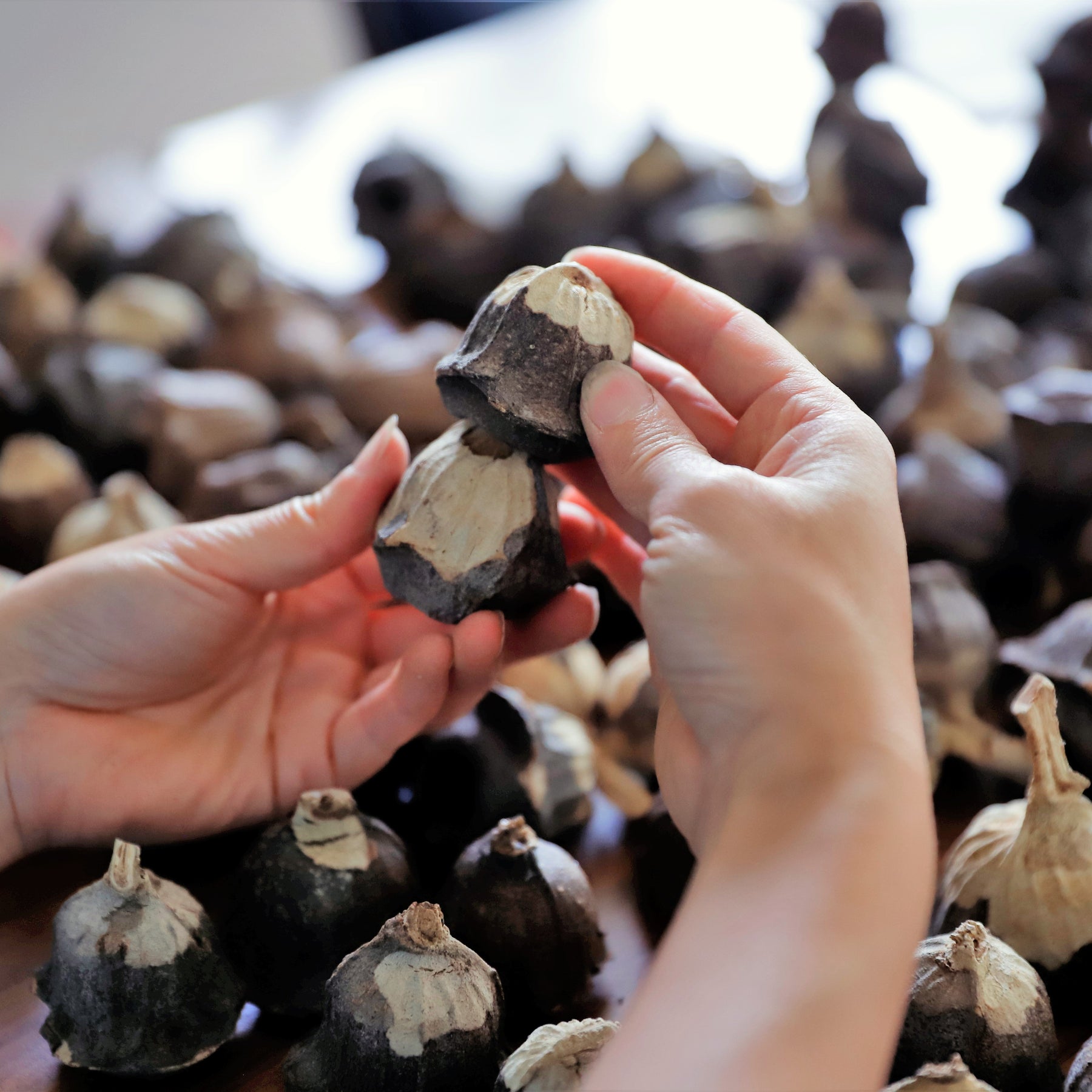 Handmade Gumnut Angel – A Tiny Guardian Full of Heart