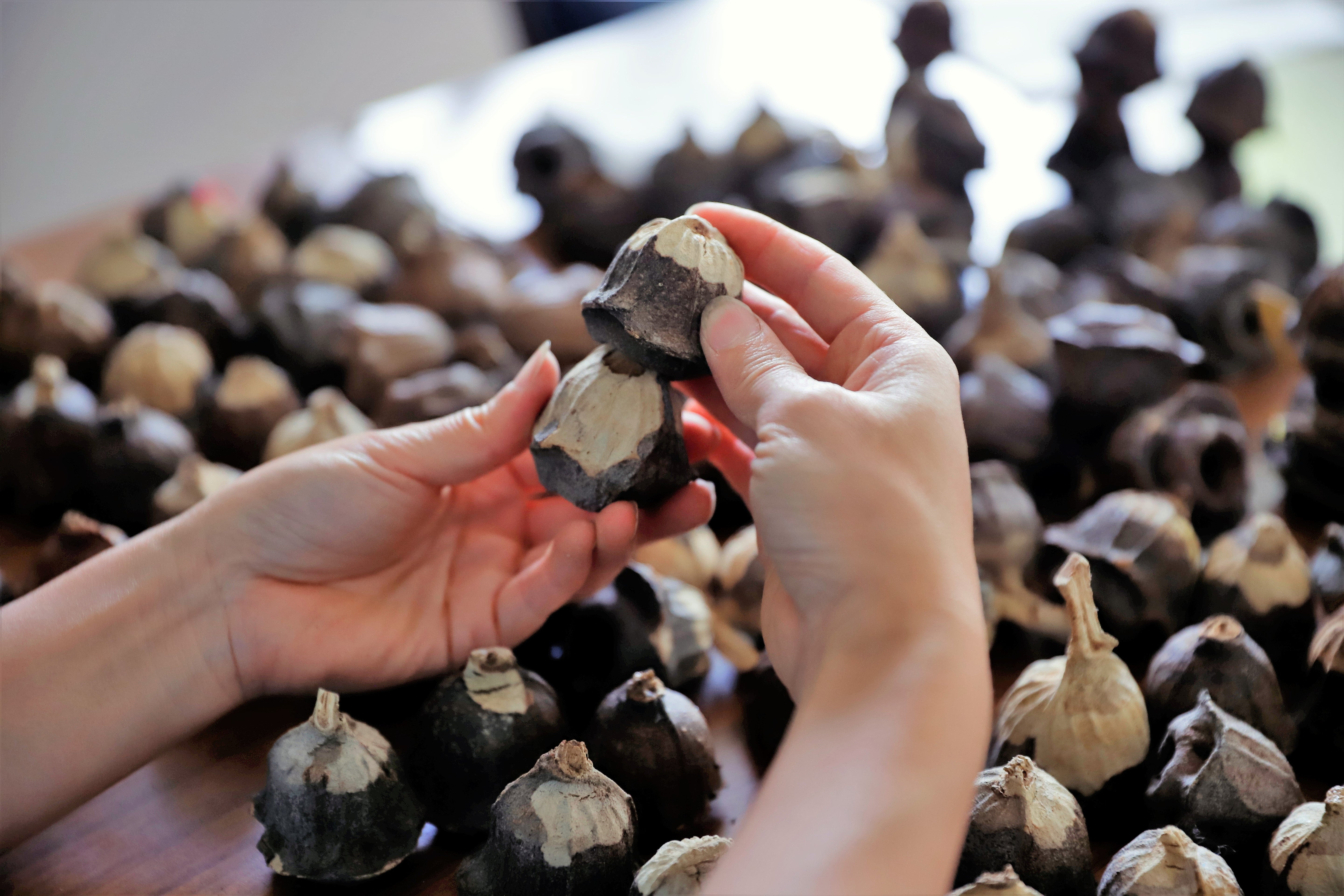 Handmade Gumnut Angel – A Tiny Guardian Full of Heart