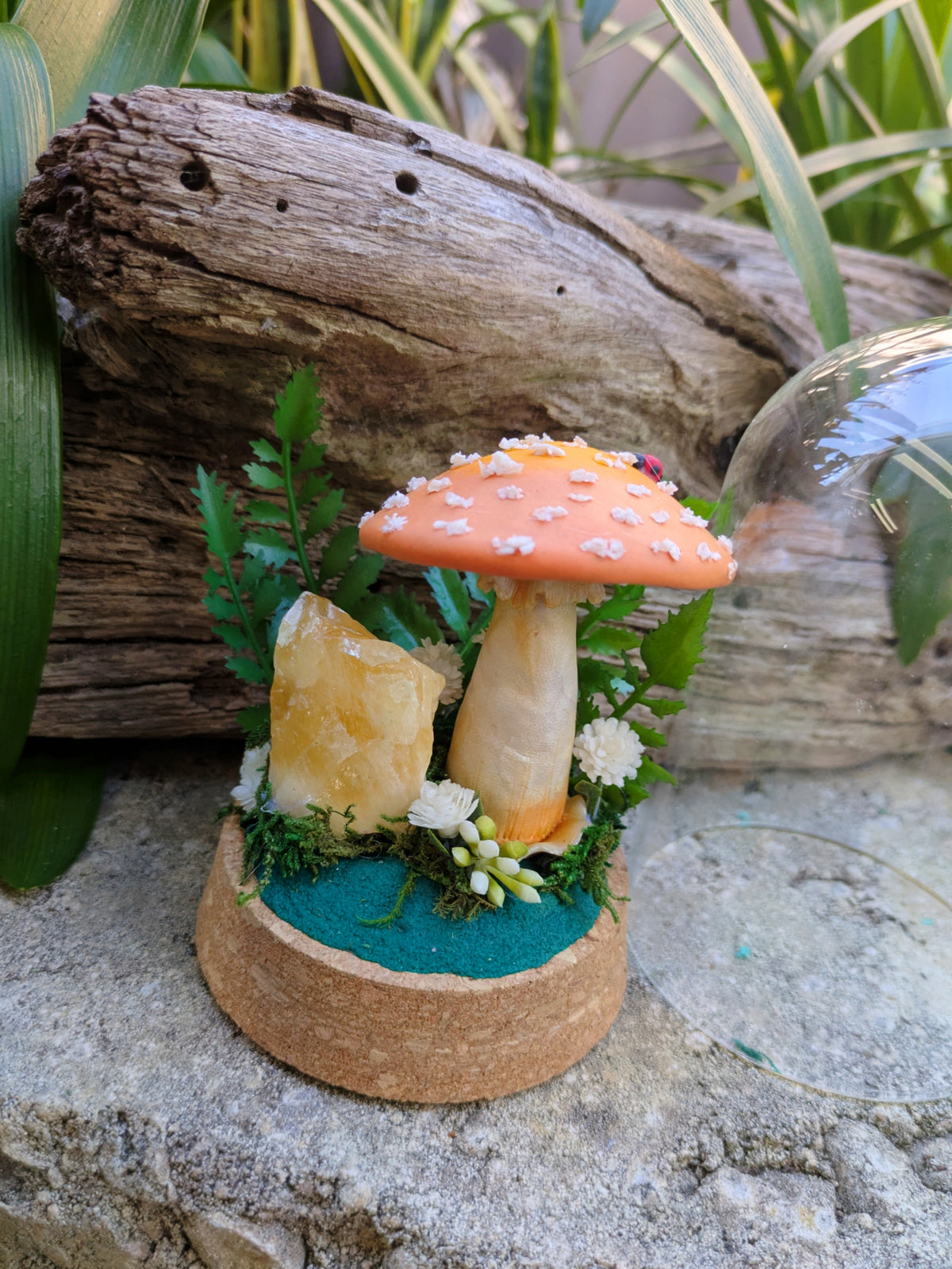 Enchanted Orange Mushroom & Honey Calcite Crystal Dome