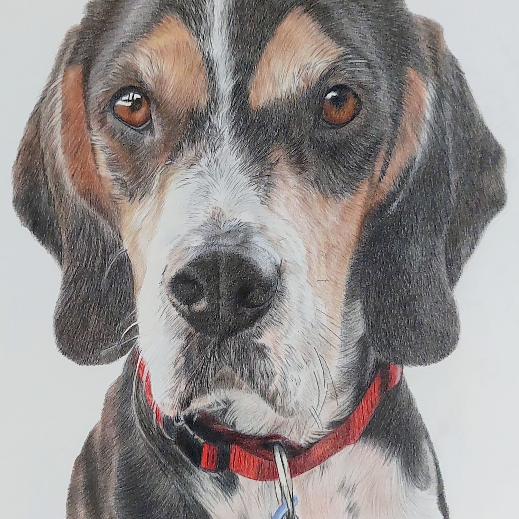 Pet Portrait Gift Certificate - Great Gift Idea