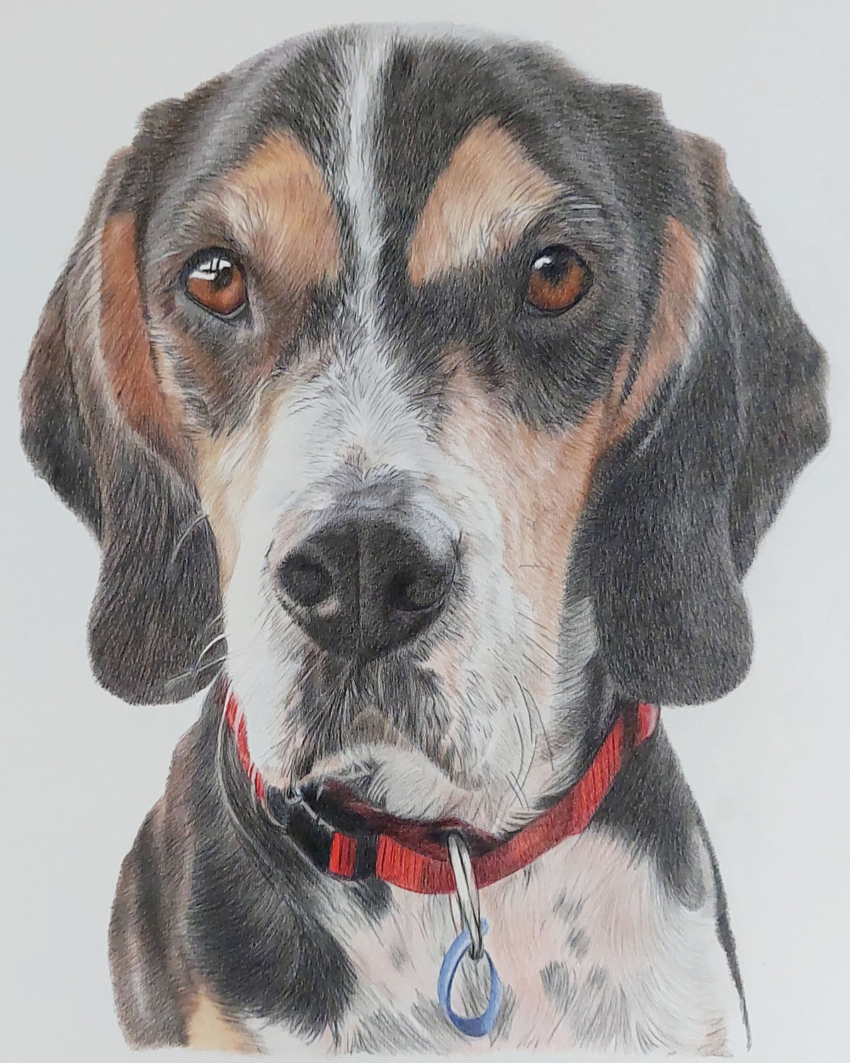 Pet Portrait Gift Certificate - Great Gift Idea