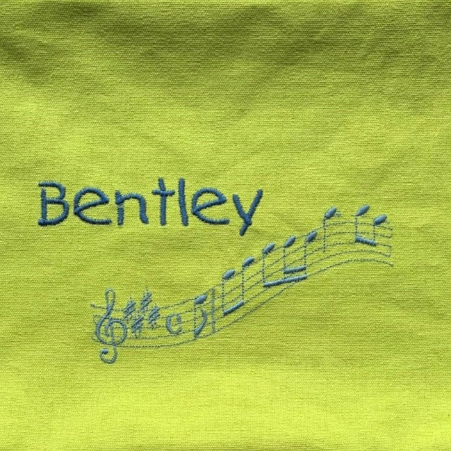 Display folder bag or Music book bag