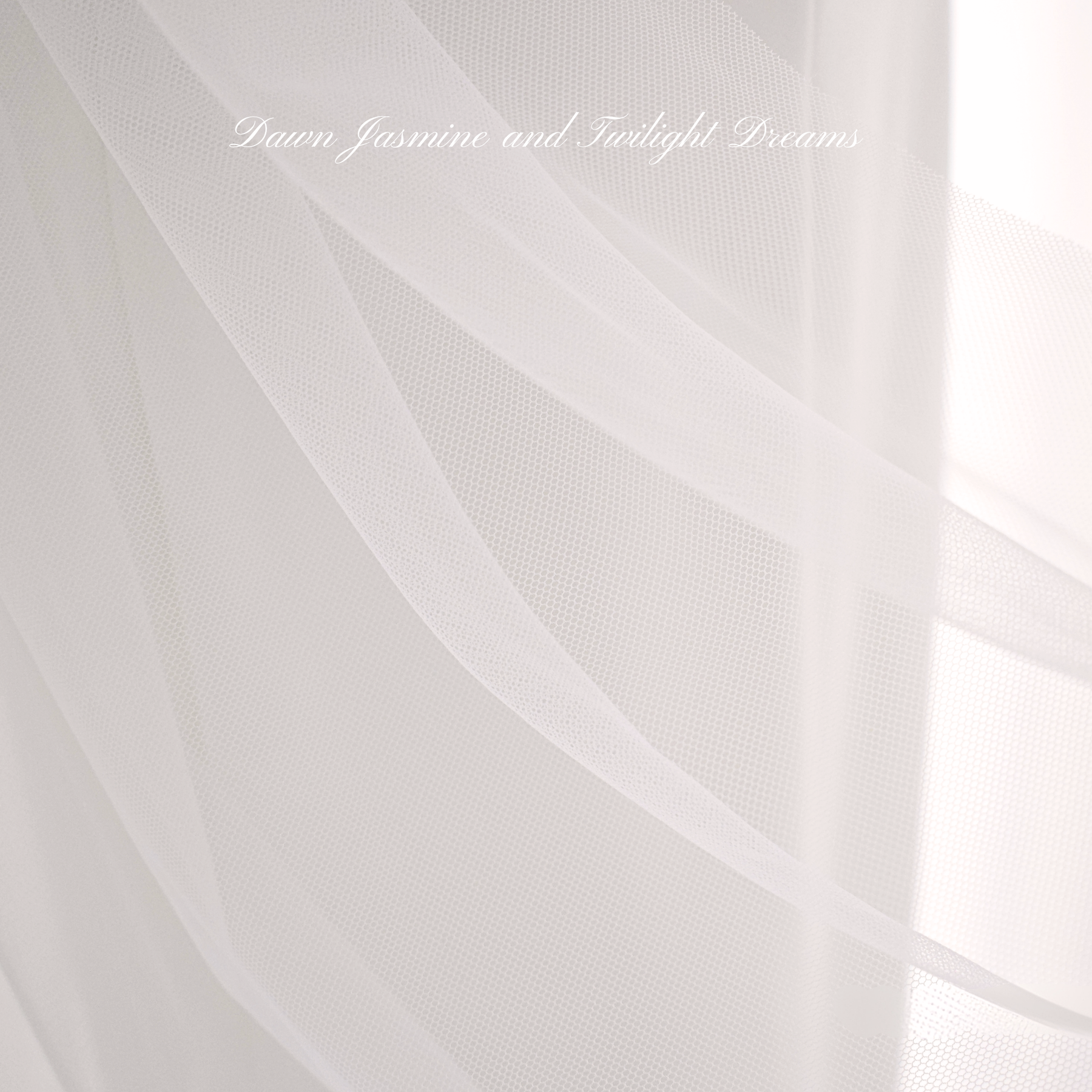 Minimalist Raw Edge Bridal Veil | The Audrey