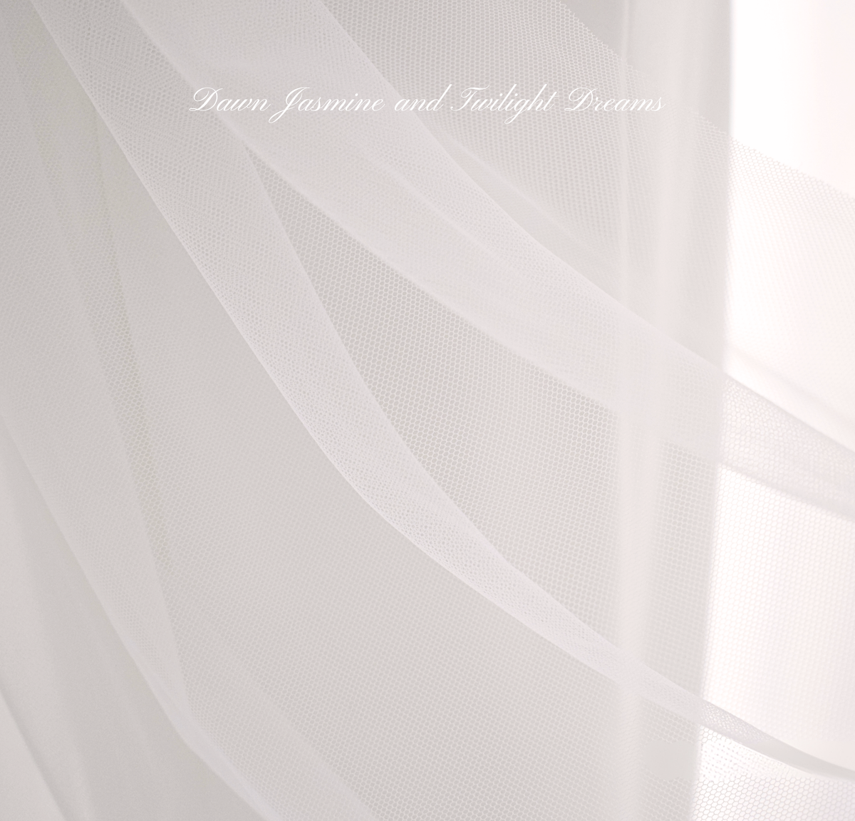 Minimalist Raw Edge Bridal Veil | The Audrey