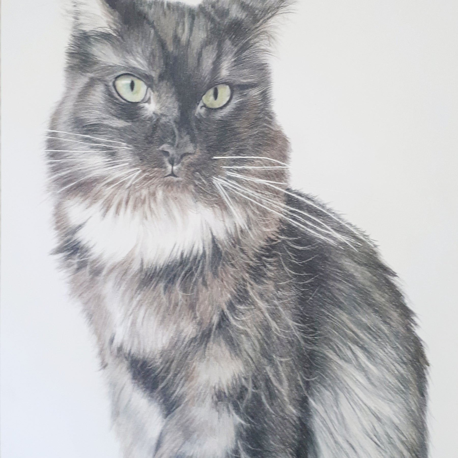 Pet Portraits Hand drawn in Pencil