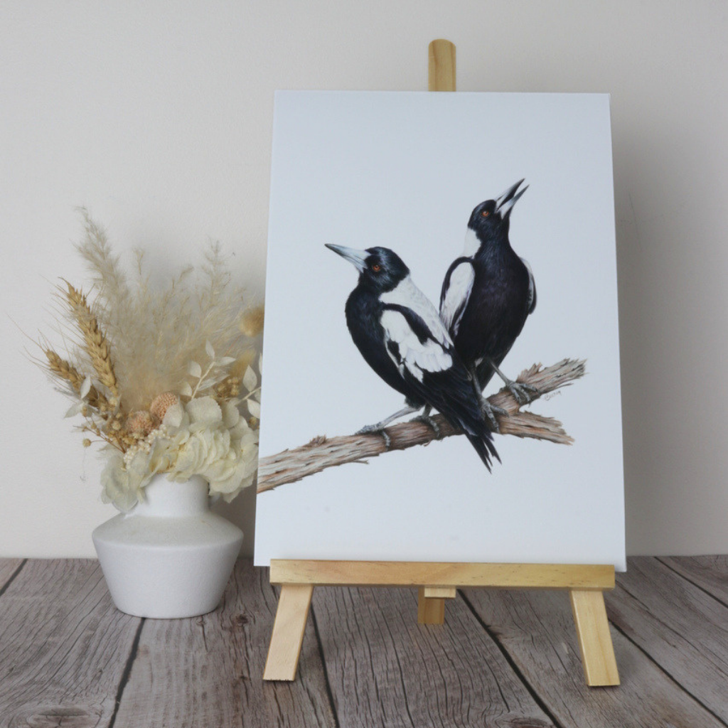 Magpies | Australian Wildlife Art Print