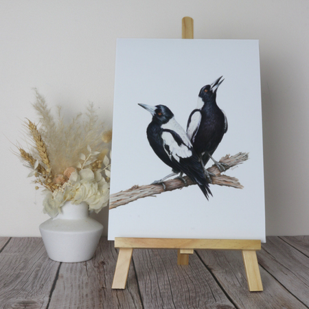 Magpies | Australian Wildlife Art Print