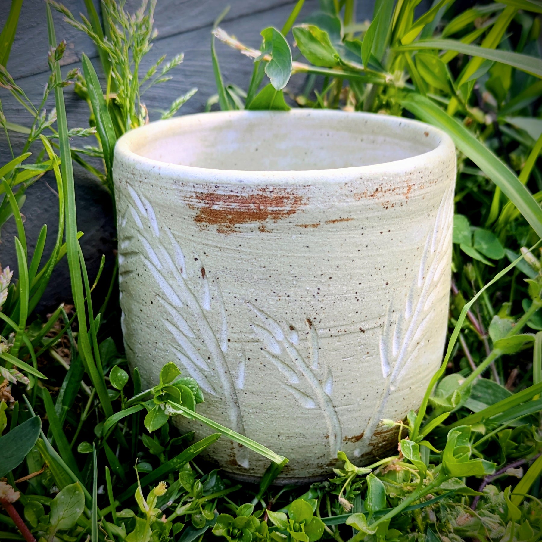 Wheat cup