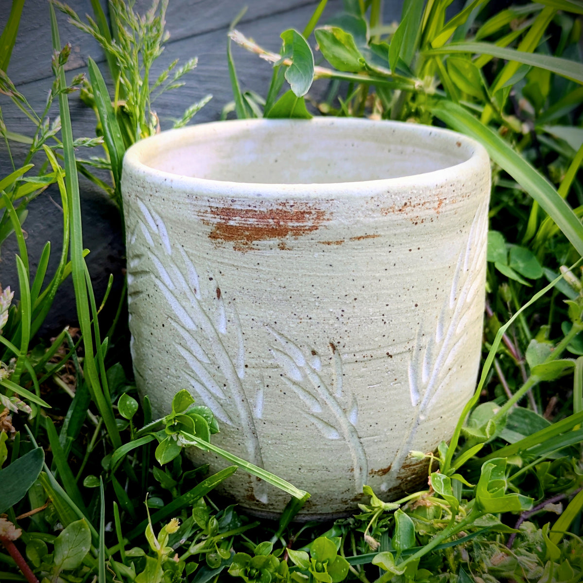 Wheat cup